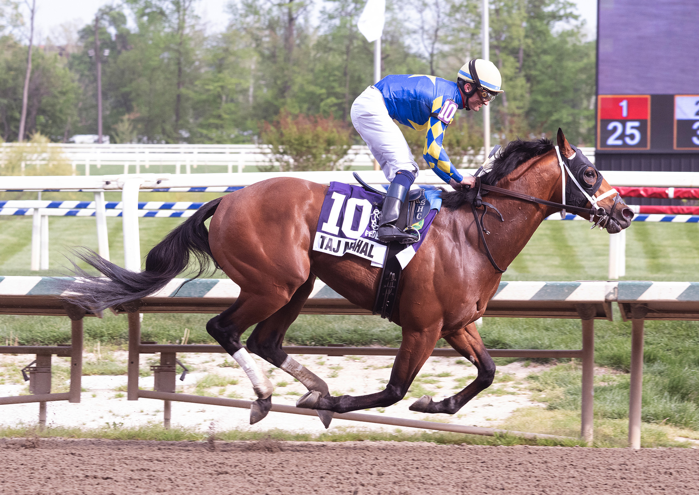 Florida-bred Taj Mahal and regular jockey Sheldon Russell gallop to the wire during their win in the 2026 Federico Tesio at Laurel Park. (Photo: ©Jim McCue/Maryland Jockey Club)