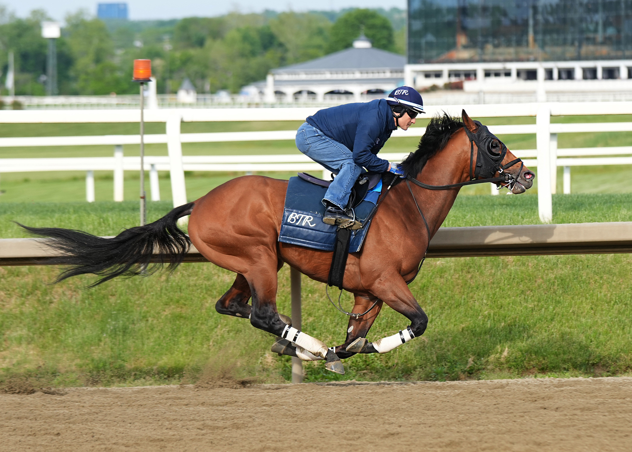 Florida-bred Thoroughbred Taj Mahal breezes with his exercise rider at Laurel Park. (Photo: ©Jeffrey Snyder/Maryland Jockey Club)
