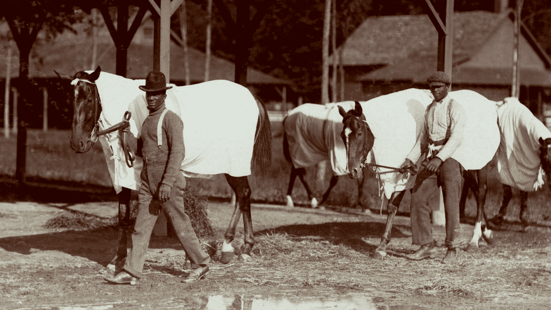 Film photo of two Black men leading a group of Thoroughbred horses wearing cooling sheets. The photo is courtesy of the Tampa Bay History Center as part of The Heart of the Turf exhibition at Tampa’s Black History Museum.