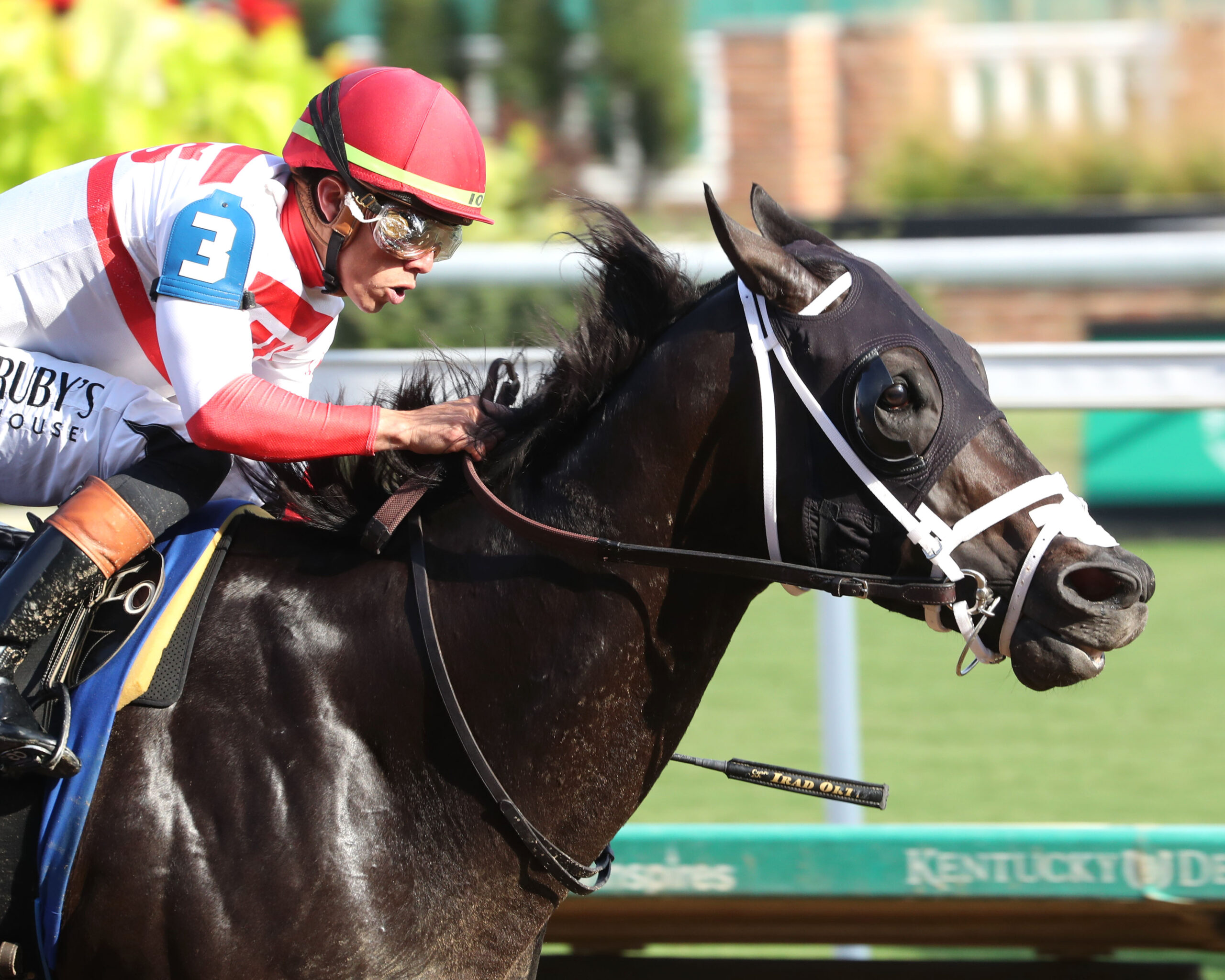 Closely cropped headshot of Florida-bred Bentornato and jockey Irad Ortiz Jr. rocketing to the wire at Churchill Downs to win the 2025 Louisville Thoroughbred Society Stakes (Listed). (Photo: ©Rick Bailey/Coady Media)