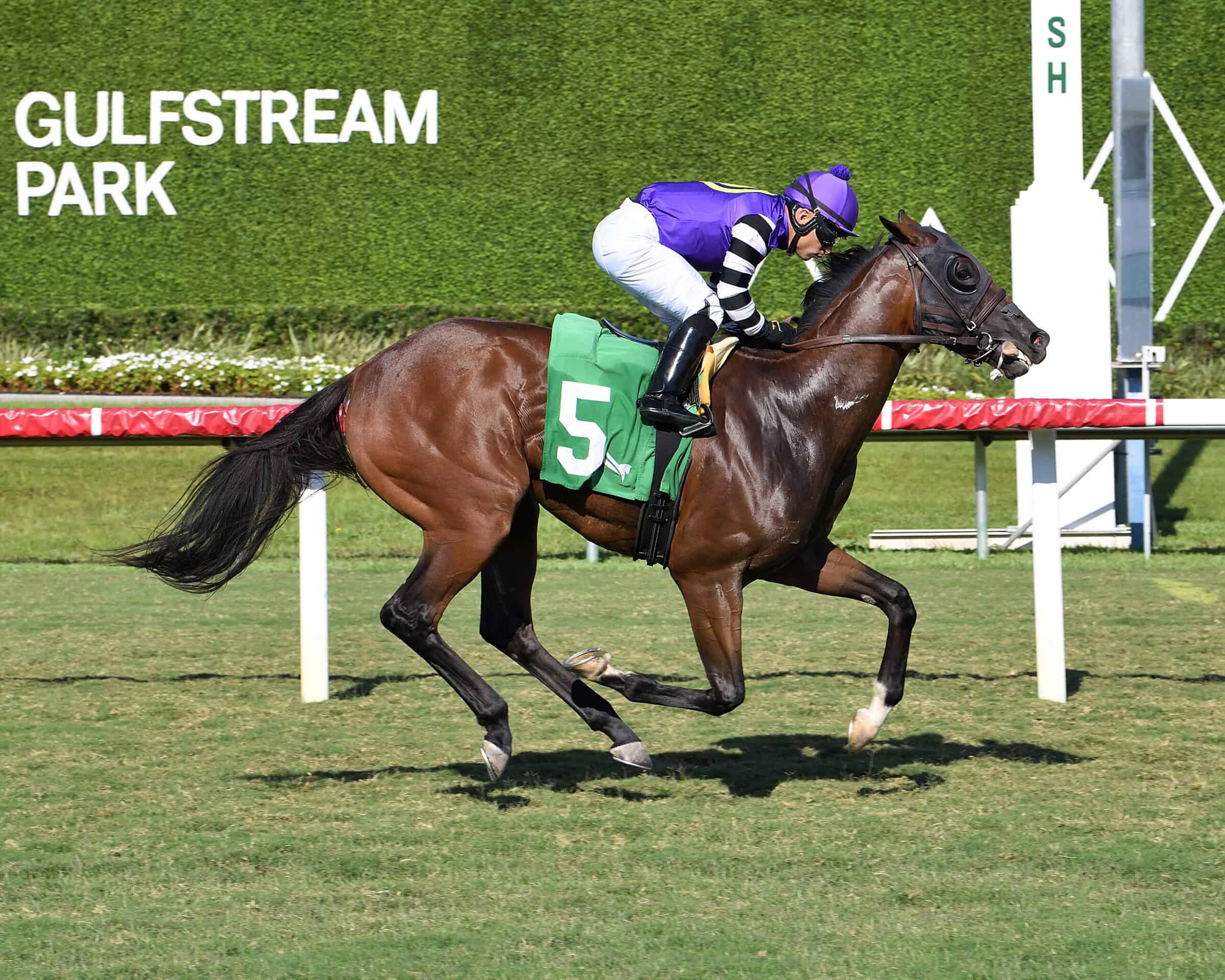 Florida-bred Thoroughbred Bolero Bay, ridden by jockey Sony Leon, gallops to the wire to win the 2026 English Channel Stakes at Gulfstream Park. (Photo: ©Ryan Thompson)