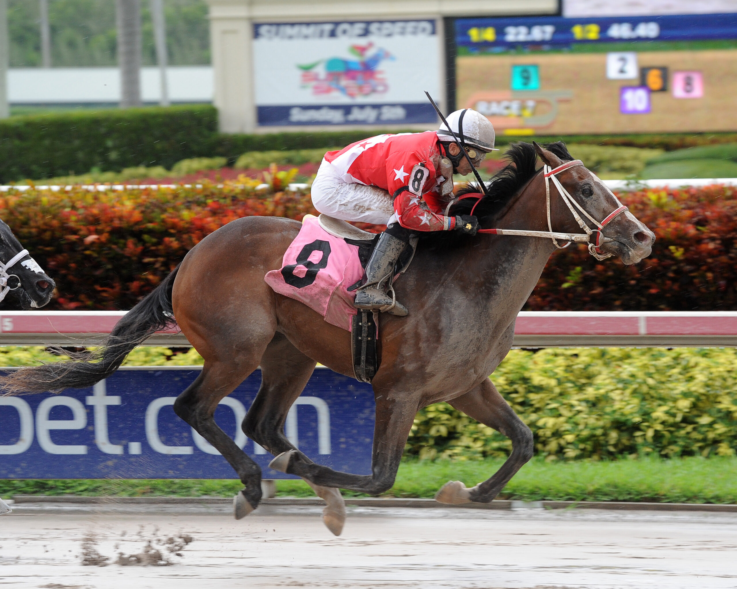 Florida-bred Thoroughbred Bullet Gone Astray gallops with jockey Luca Panici in the irons over a sloppy and sealed track at Gulfstream Park. The duo overtook their competition to win a Maiden Special Weight on June 28, 2015. (Photo: ©Leslie Martin)