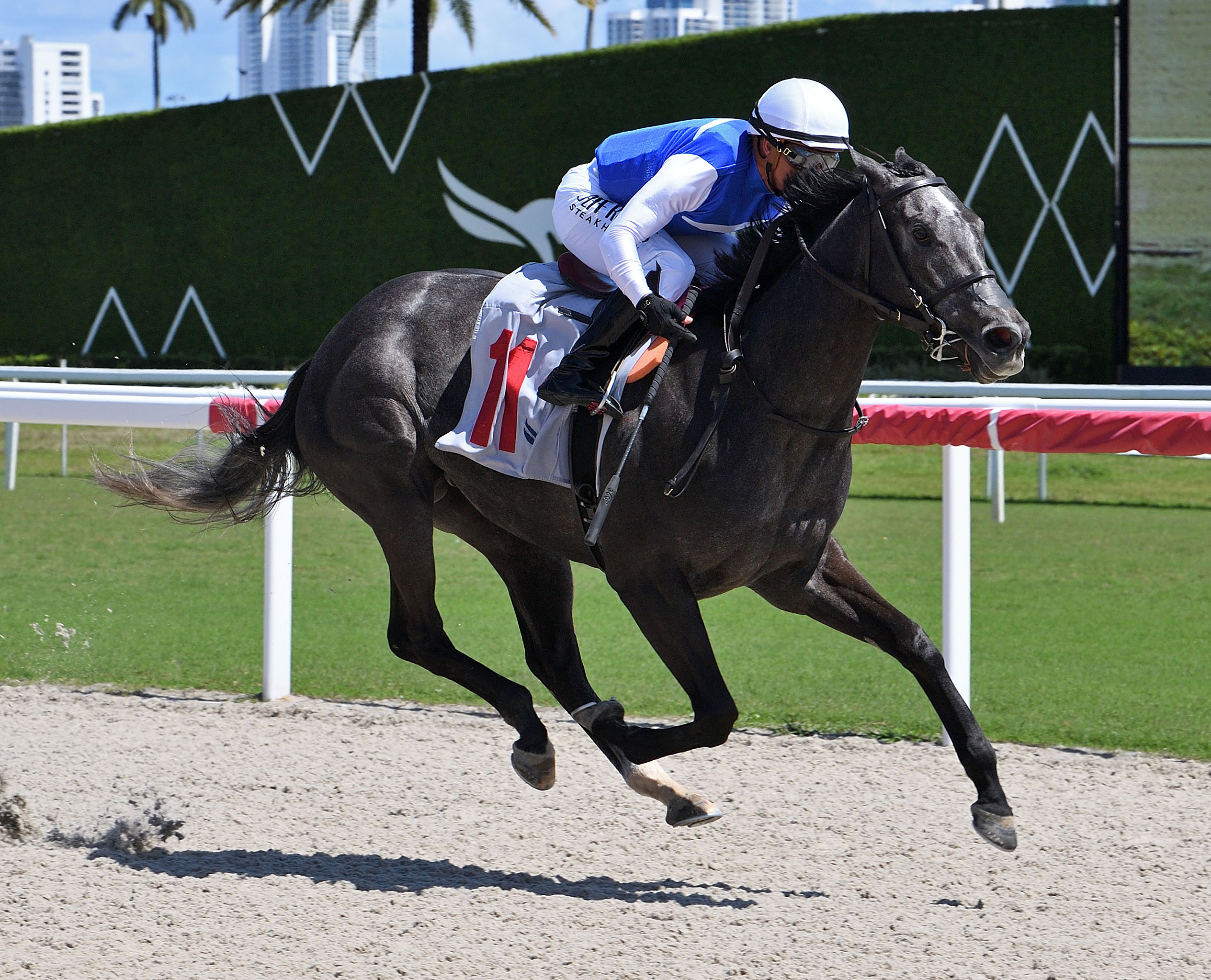 Florida-bred Thoroughbred Classic Move and jockey Javier Castellano rocket to the wire at Gulfstream Park, galloping across it alone to win a $76,600 maiden special weight by a length-and-a-quarter on March 21, 2026. (Photo: ©Ryan Thompson)