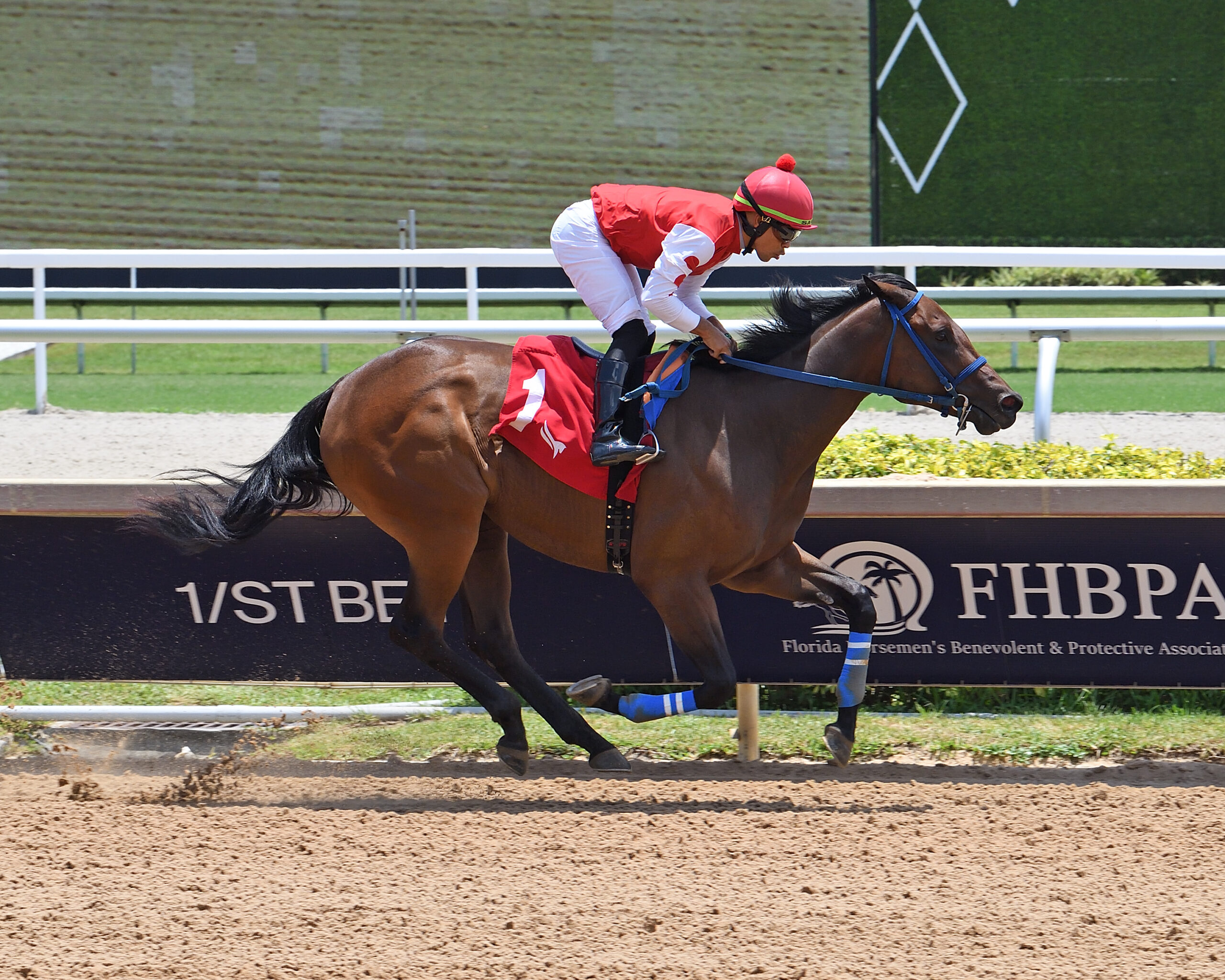 Florida-bred Thoroughbred Colombina and jockey Samy Camacho gallop to the wire at Gulfstream Park, winning a Maiden Special Weight for Florida-bred fillies on June 20, 2026. (Photo: ©Ryan Thompson)