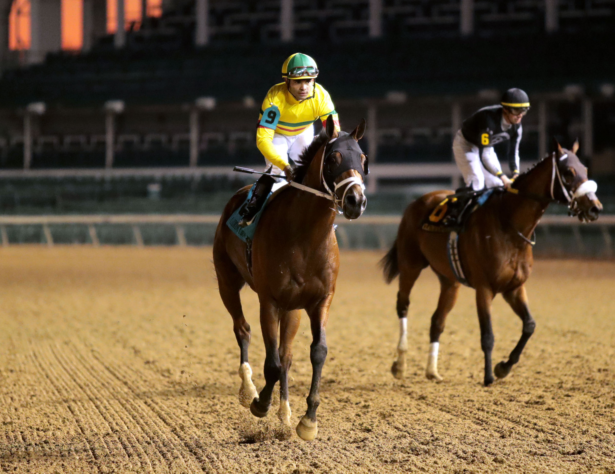 Florida-bred Thoroughbred Echo Lane canters towards the camera with pricked ears, guided by jockey Luis Saez after their win of the 2025 Claiming Crown Emerald at Churchill Downs. (Photo: ©Stephen Ibanez/Coady Media)