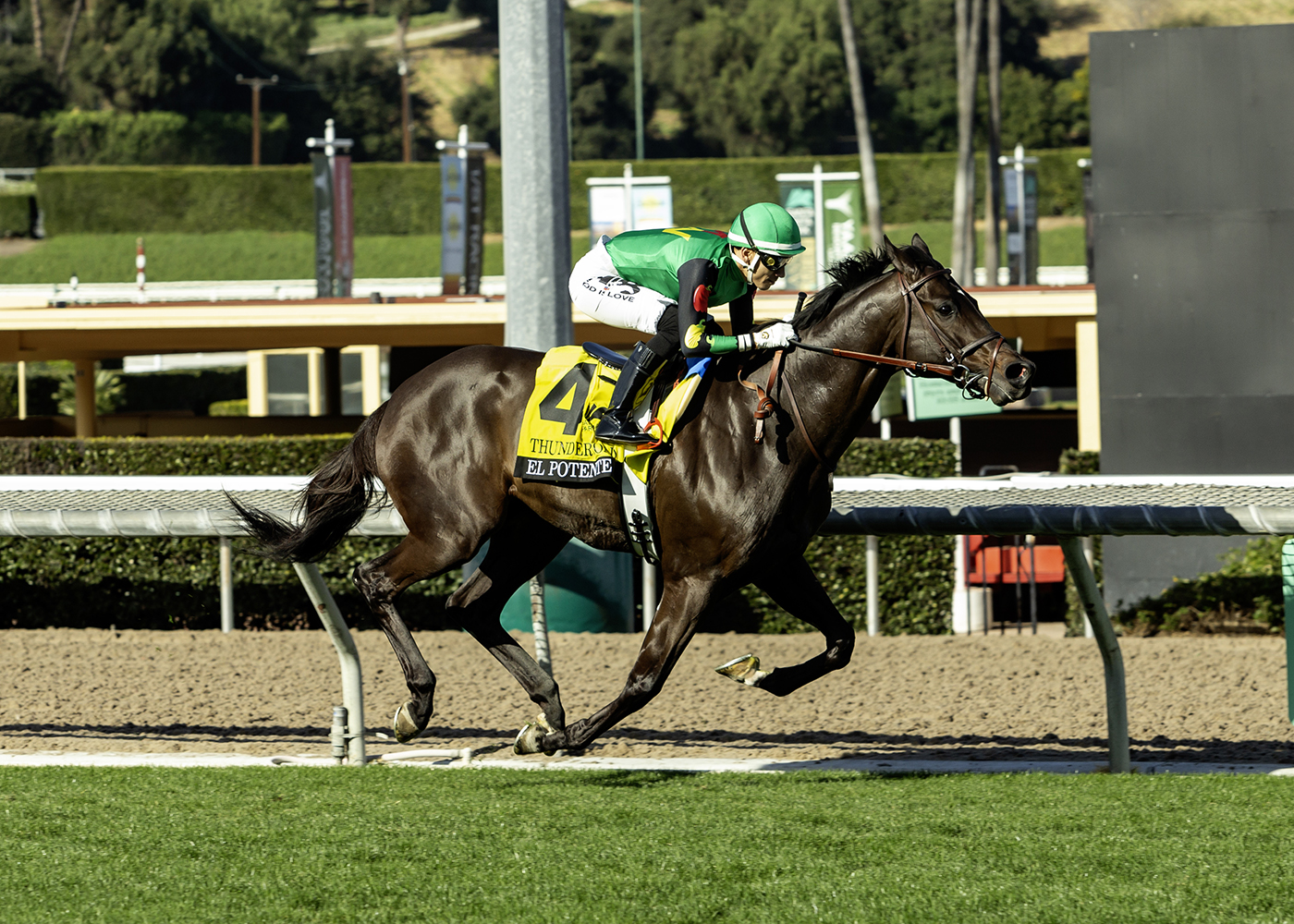 Florida-bred Thoroughbred El Potente and jockey Hector Isaac Berrios gallop to the wire in their 2026 win of the Grade 3 Thunder Road at Santa Anita Park. (Photo: ©Benoit)