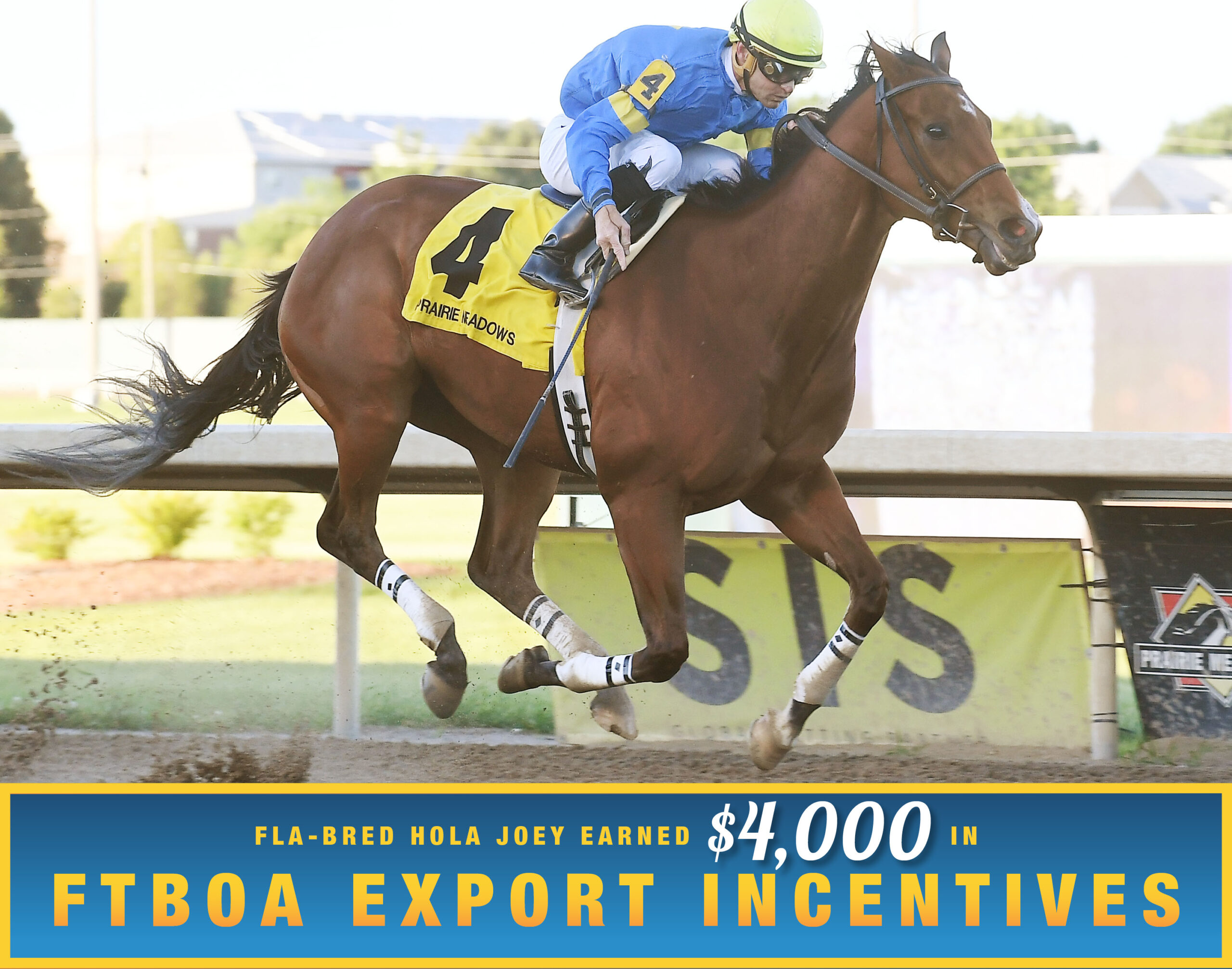 Florida-bred Thoroughbred Hola Joey and jockey Alex Birzer cruise to the wire at Prairie Meadows to win the 2026 Ed Skinner overnight stakes. (Photo: ©Jack Coady Jr.) Beneath the photo, a gradient light blue to dark blue banner, edged in an orange to yellow frame, is featured. The banner reads, “Fla-bred Hola Joey Earned $4,000 in FTBOA Export Incentives.”