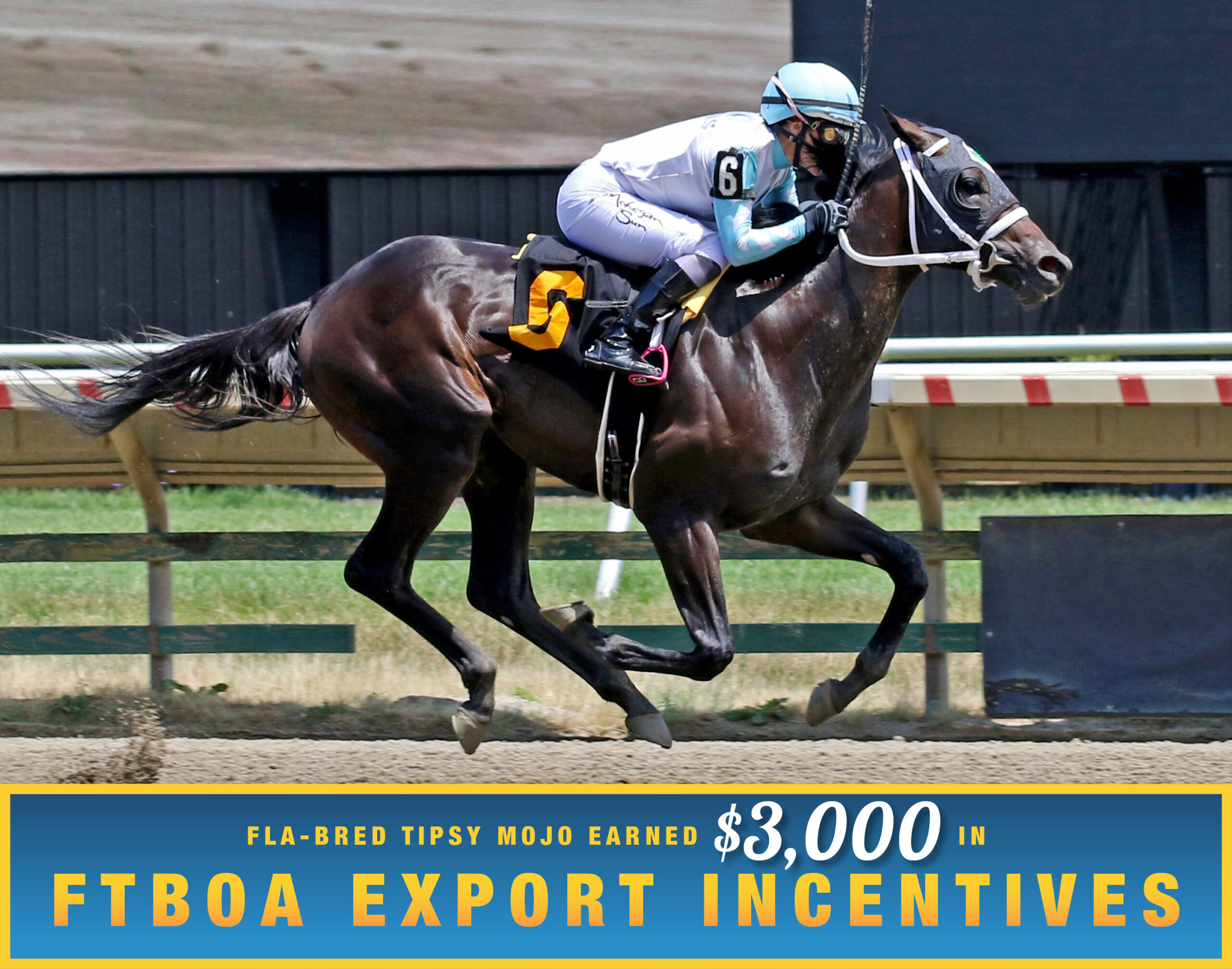 Florida-bred Thoroughbred Tipsy Mojo and jockey Chantal Sutherland gallop to the wire at Monmouth Park to win a five-furlong maiden special weight by four-and-a-half lengths on Sunday, June 28, 2026. (Photo: ©Bill Denver/EQUI-PHOTO) Beneath the photo, a gradient light blue to dark blue banner, edged in an orange to yellow frame, is featured. The banner reads, “Fla-bred Tipsy Mojo Earned $3,000 in FTBOA Export Incentives.”