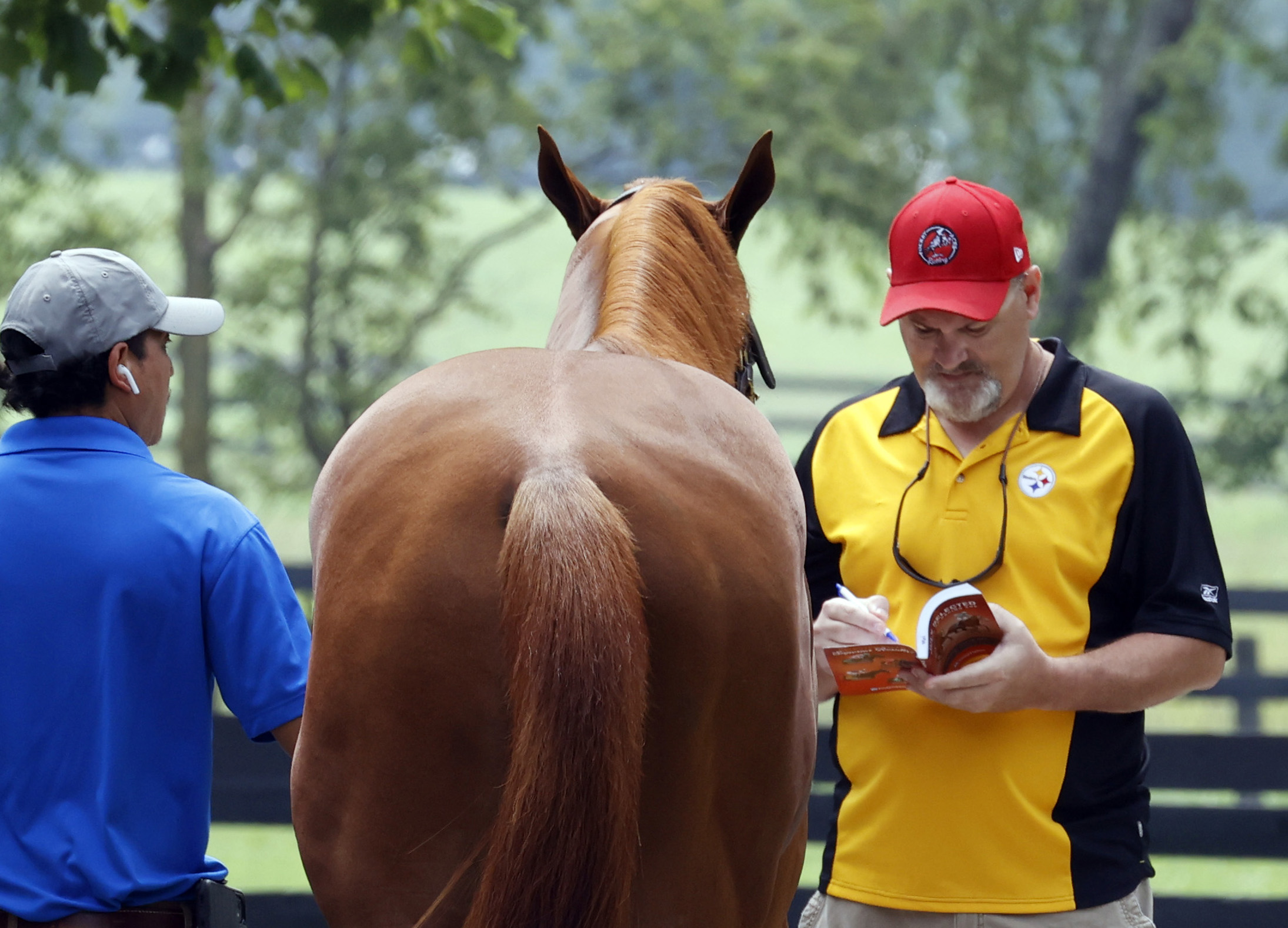 A chestnut Thoroughbred stands patiently, facing away from the camera. To their left, the horse’s groom holds the lead, looking over the horse’s back to the person standing on the other side of the horse. The other person faces the camera, looking down at a sale catalog held in his hand and writing notes. (Photo: ©Fasig-Tipton Photo)