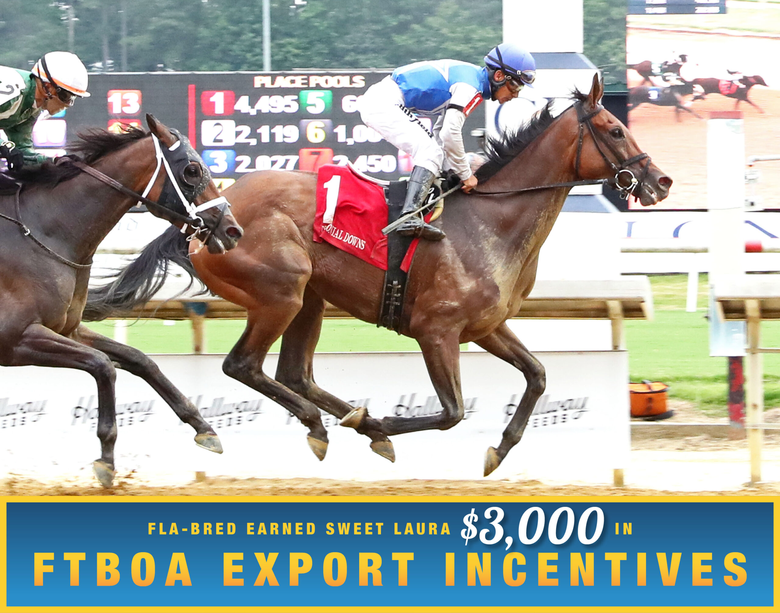 Florida-bred Thoroughbred Sweet Laura and jockey Paco Lopez gallop to the wire at Colonial Downs, crossing first to win a second condition, $50,000 optional claiming on June 27, 2026. Competitor Especially and jockey Jevian Toledo attempt to catch them on the outside, but Sweet Laura and Lopez held the lead. (Photo: ©Coady Media) Beneath the photo, a gradient light blue to dark blue banner, edged in an orange to yellow frame, is featured. The banner reads, “Fla-bred Sweet Laura Earned $3,000 in FTBOA Export Incentives.”