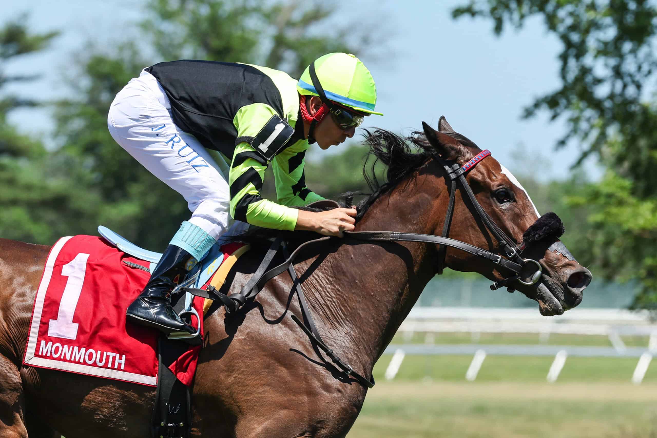 Closely cropped headshot of Thoroughbred racehorse Gimme a Nother and jockey Jorge Ruiz galloping to the wire at Monmouth Park to secure their win of the Grade 3 Eatontown Stakes. (Photo: ©Taylor Ejdys/EQUI-PHOTO)