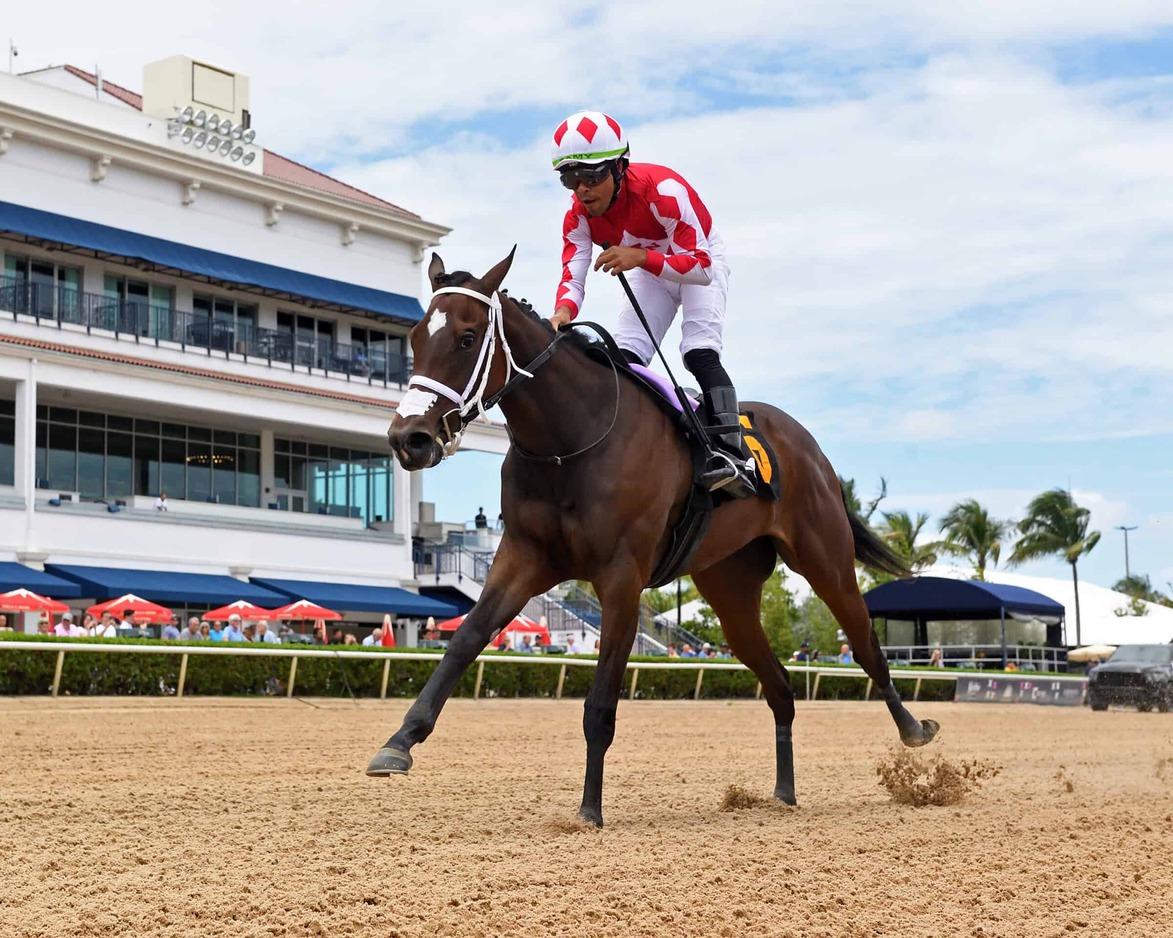 Florida-bred Hot Rod Honey and jockey Samy Camacho gallop toward the camera, out pacing their competition to win race 2 at Gulfstream Park, a Maiden Special Weight, on June 5, 2026. (Photo: ©Ryan Thompson)
