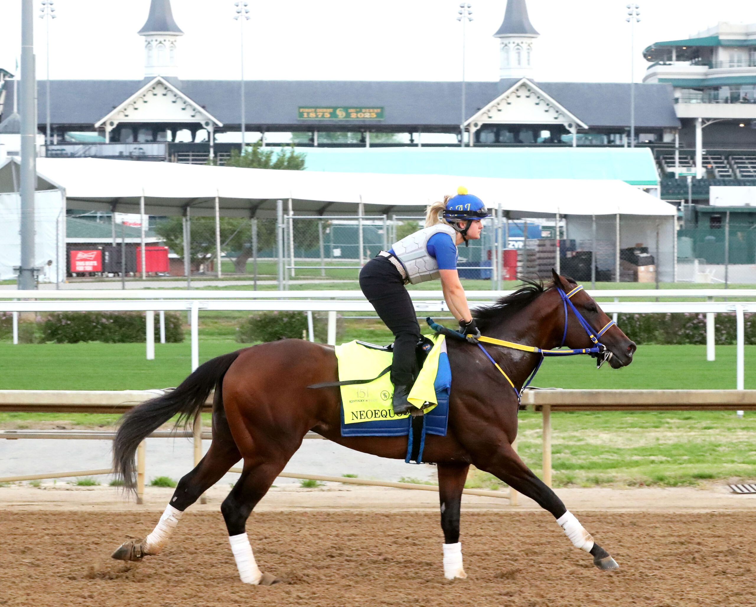 Florida-bred Thoroughbred Neoequos and his exercise rider enjoy a morning work out at Churchill Downs during their preparation for the 2025 Kentucky Derby. (Photo: ©Renee Torbit/Coady Media)