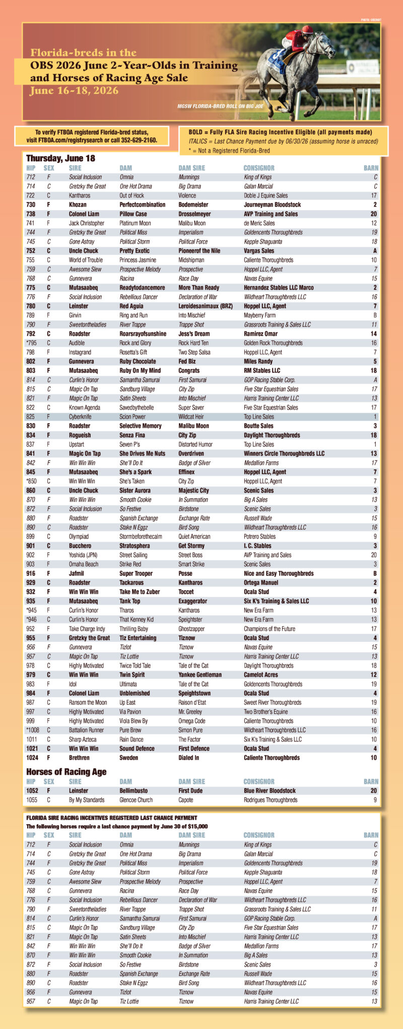 Series of three full page graphics whose backgrounds fade from peach to yellow back to peach overlaid with two charts on each page describing the Florida-bred horses that are available in the OBS June Sale 2026. The charts are white with soft grey highlights, and each chart is headed by a photo of a Florida-bred Thoroughbred by ©Benoit. This is the chart for Day 3 of the sale, Thursday, June 18. The chart is headlined by a photo of Florida-bred Thoroughbred Roll On Big Joe. (Photo: ©Benoit)
