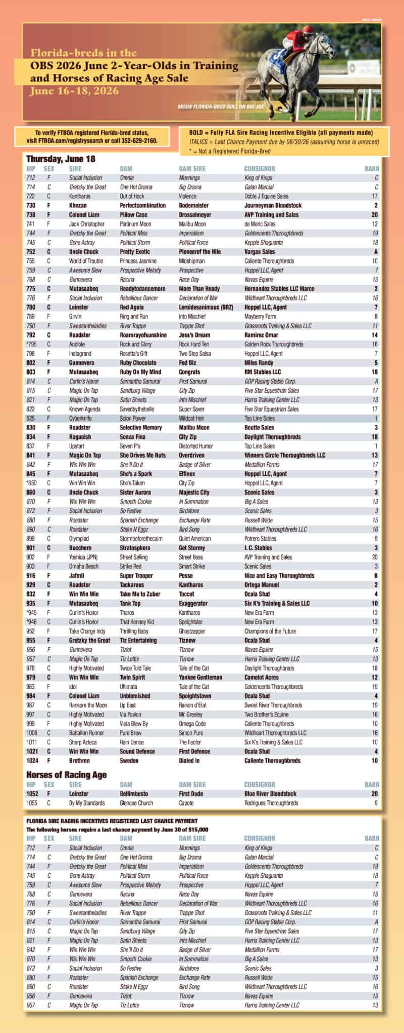 Series of three full page graphics whose backgrounds fade from peach to yellow back to peach overlaid with two charts on each page describing the Florida-bred horses that are available in the OBS June Sale 2026. The charts are white with soft grey highlights, and each chart is headed by a photo of a Florida-bred Thoroughbred by ©Benoit. This is the chart for Day 3 of the sale, Thursday, June 18. The chart is headlined by a photo of Florida-bred Thoroughbred Roll On Big Joe. (Photo: ©Benoit)