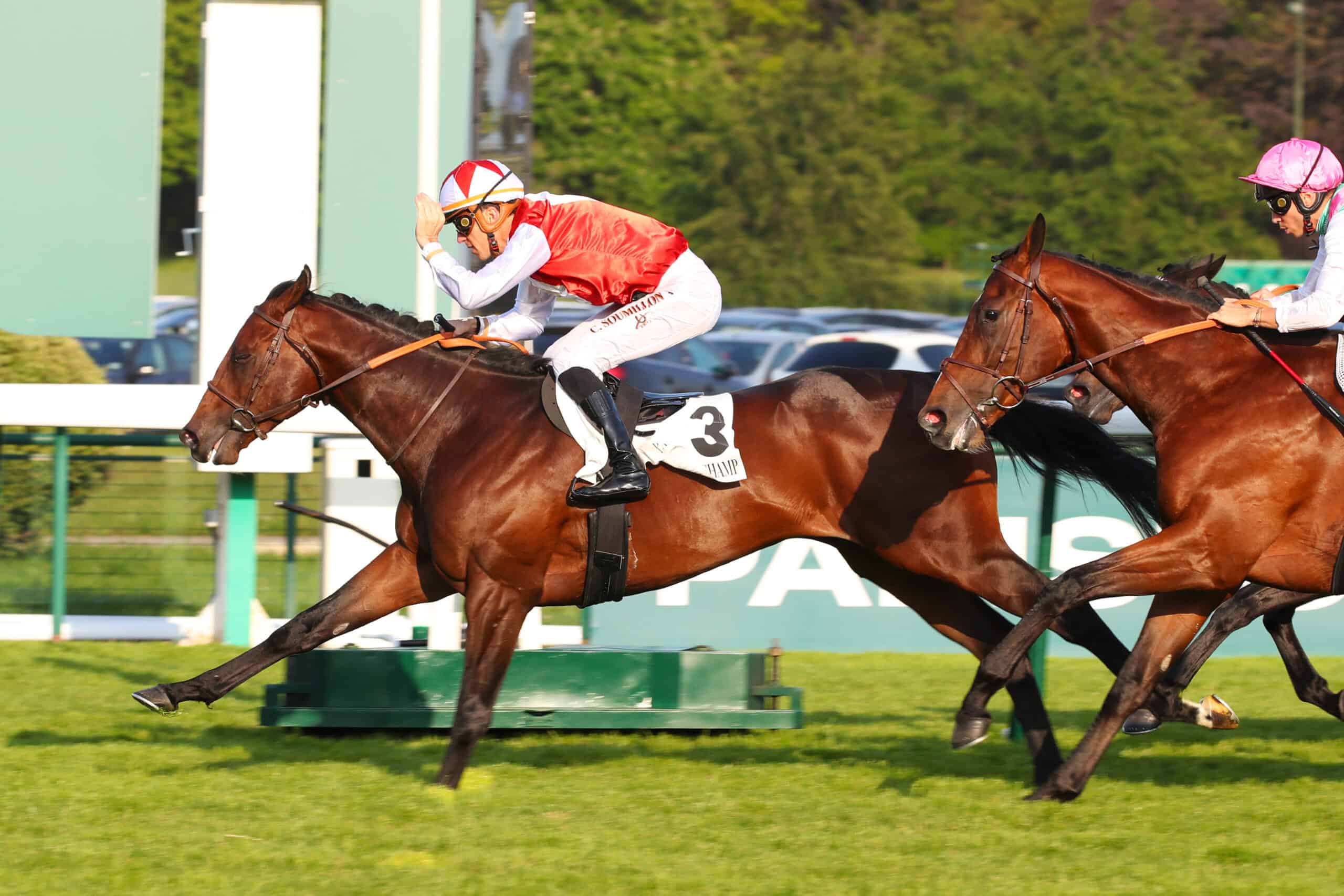 Thoroughbred stallion Ocean Vision (Ire) gallops across the finish line, outlasting the competition on his tail to win. His jockey, Soumillon, pats him on the neck in congratulations as they flash across the wire together. (Photo: ©Scoop Dyga)