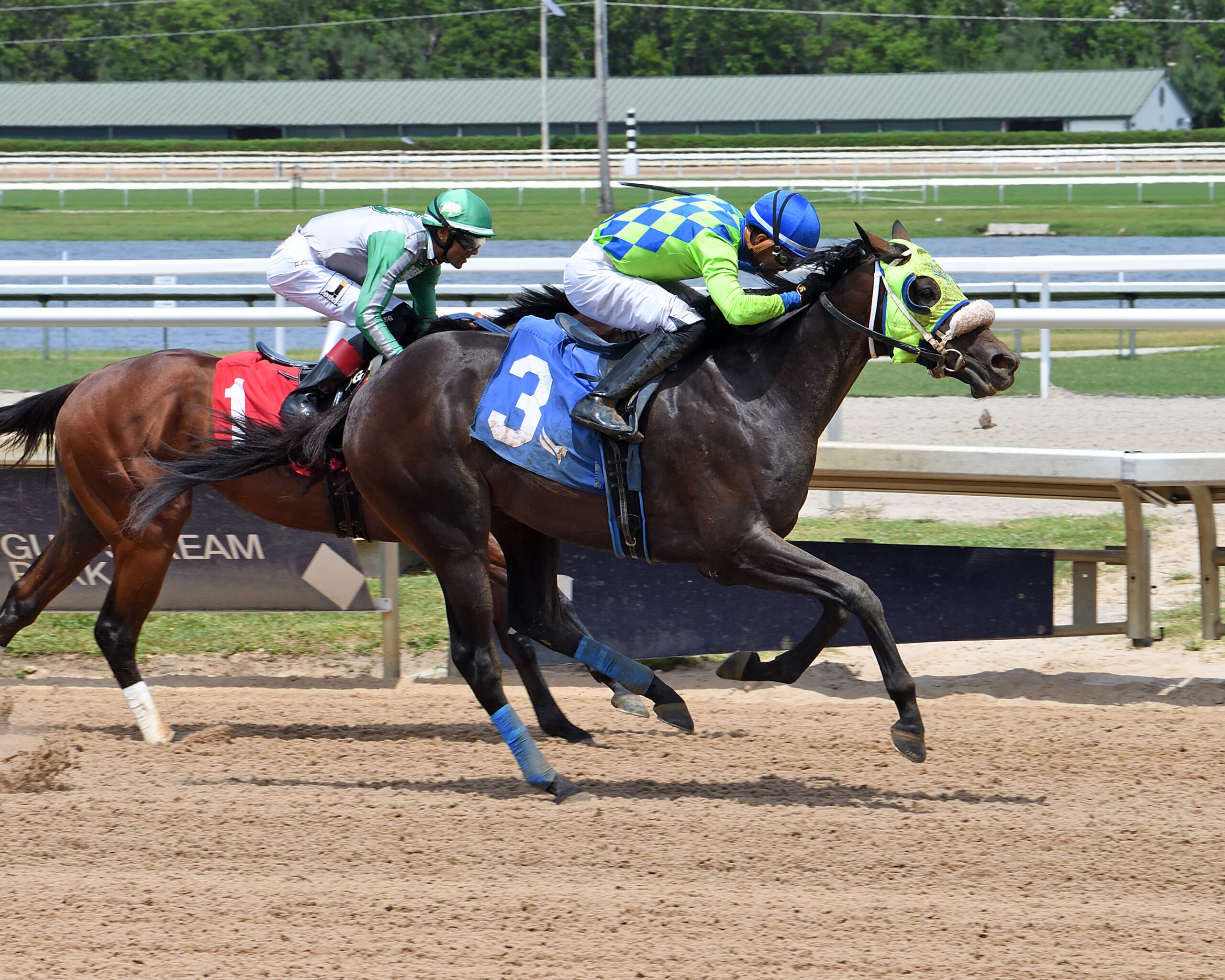 Florida-bred Thoroughbred Spicy Taco and jockey Diego Herrera gallop past fellow Florida-bred Strike, ridden by jockey Edwin Gonzalez, to win a Maiden Special Weight at Gulfstream Park on June 20, 2026. (Photo: ©Ryan Thompson)