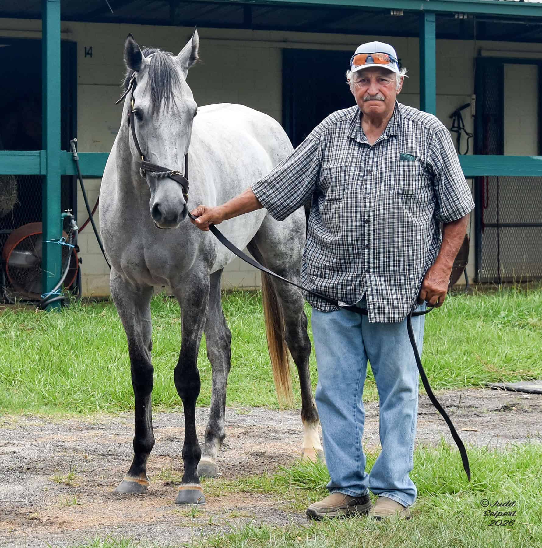 Max Ubide holds the lead for gray Florida-bred Thoroughbred Nina’s Last Gift. The pair face the camera, standing beside the barns on the OBS Sale grounds. (Photo: ©Judit Seipert)