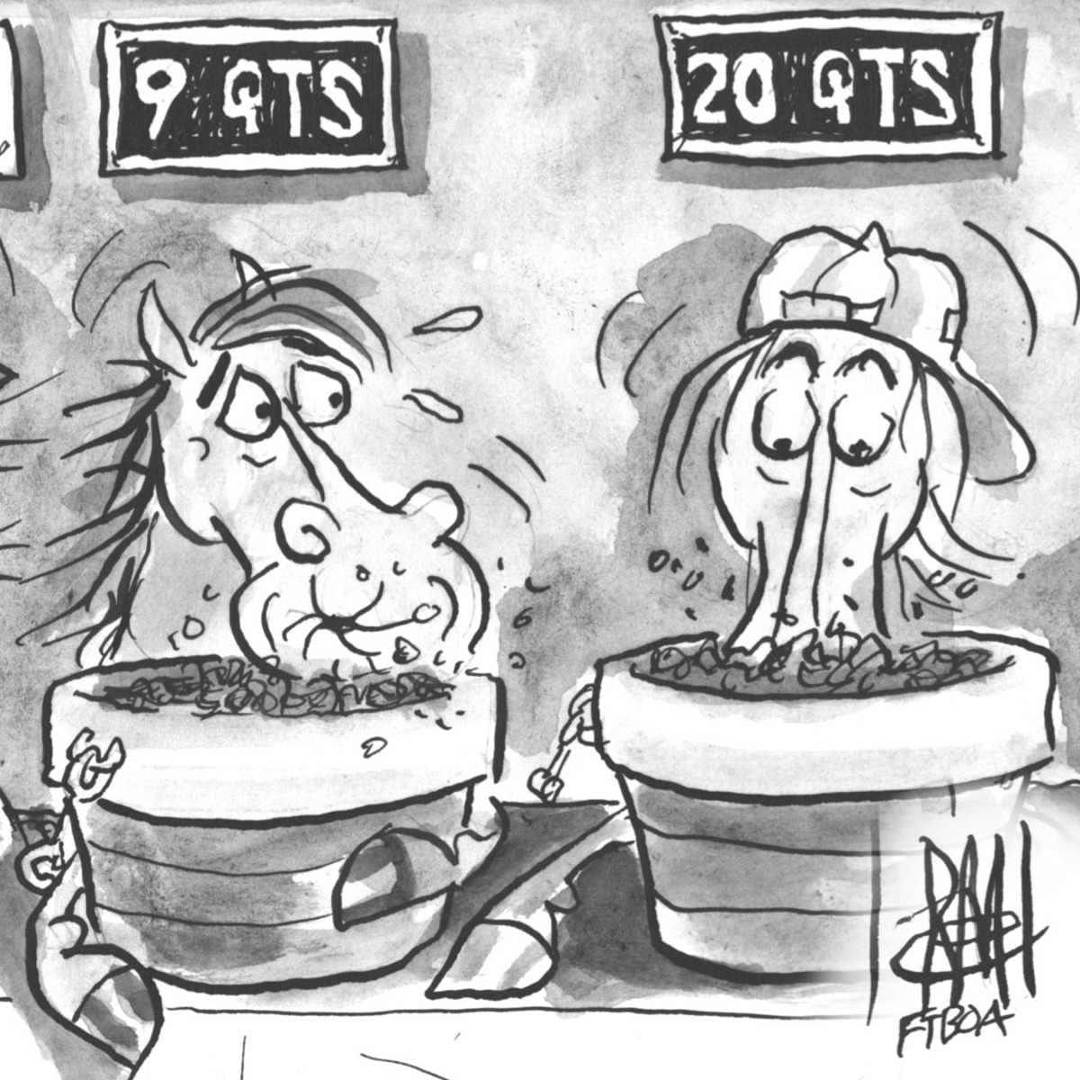 Hand drawn black and white ink illustration of 2 horses having a sweet feed eating contest during a 4th of July event. The horse on the right is focused on the feed, while the left horse looks over worriedly at something out of frame. Art by ©Remi Bellocq.