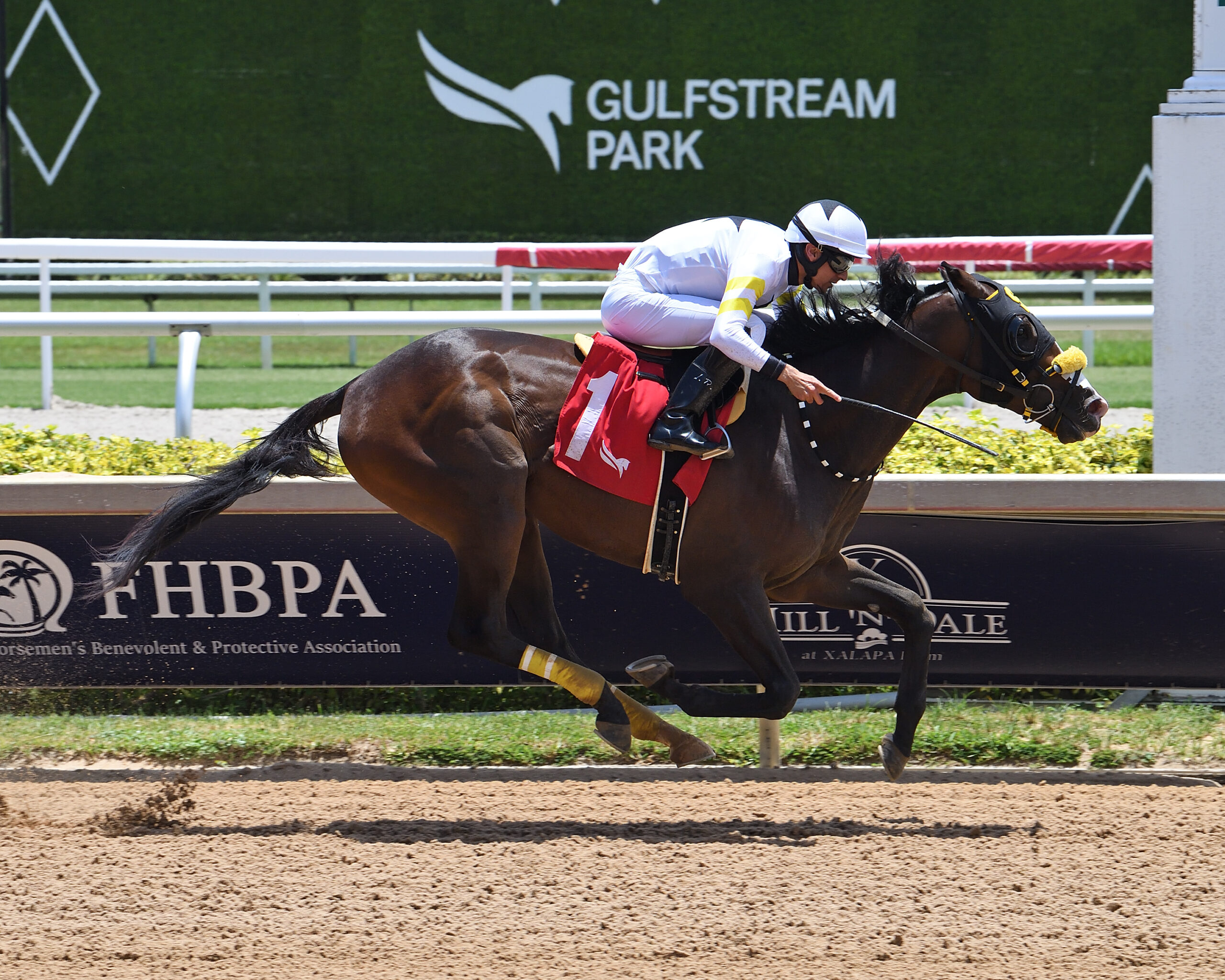 Florida-bred Thoroughbred American Roadster and jockey Leonel Reyes gallop to the wire, drawing clear from competition to win a five-furlong, $70,000 maiden special weight for 2-year-olds at Gulfstream Park on July 3, 2026. (Photo: ©Ryan Thompson)