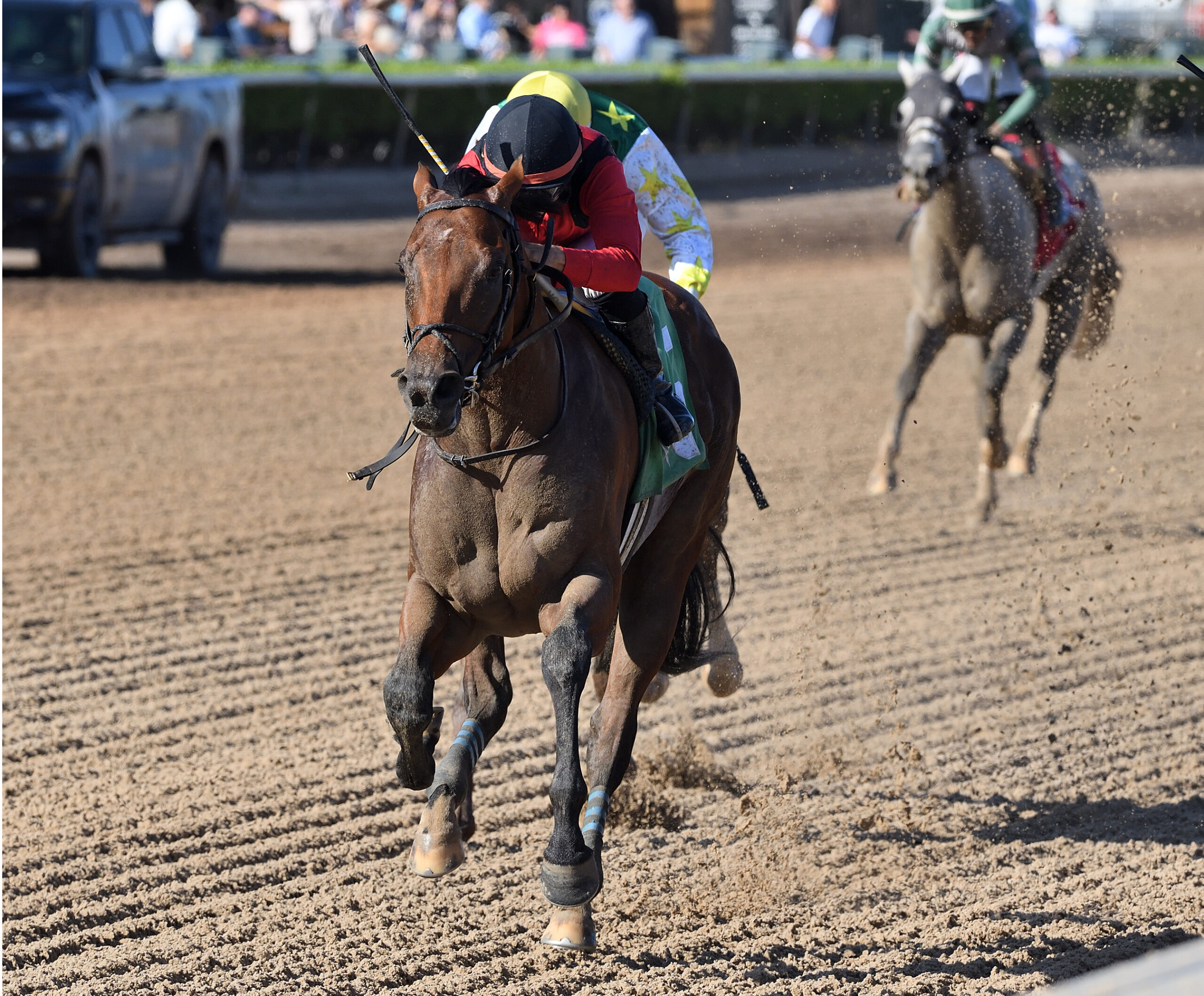 Florida-bred Thoroughbred Classic of Course and jockey Jonathan Ocasio gallop towards the camera, outpacing their competition to win the 2025 Awesome Banner Overnight Handicap at Gulfstream Park. (Photo: ©Ryan Thompson)