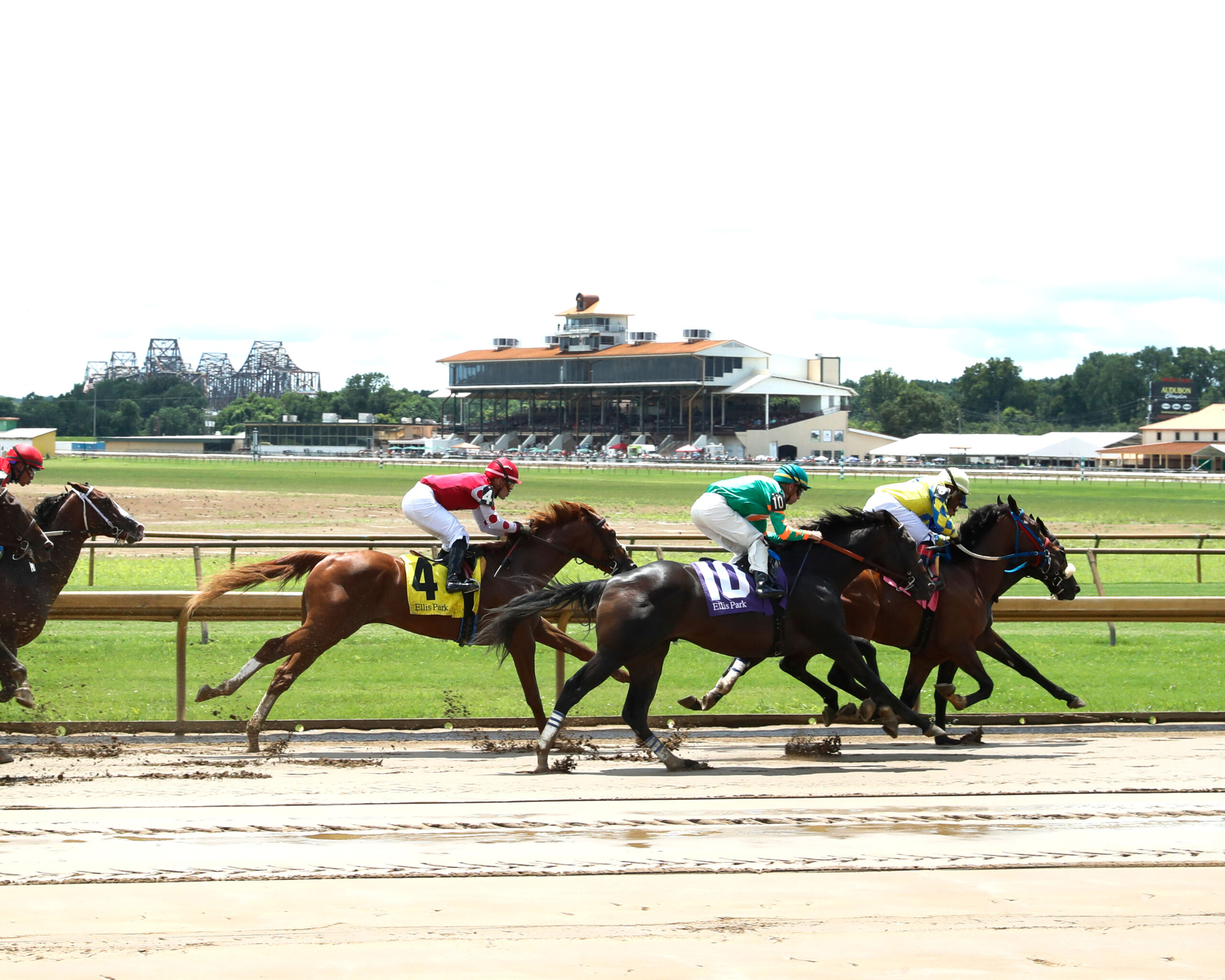 A group of racehorses gallop with their jockeys around a bend in the track. The Grandstand of Ellis Park frames the backdrop of the photo. (Photo: ©Coady Media)
