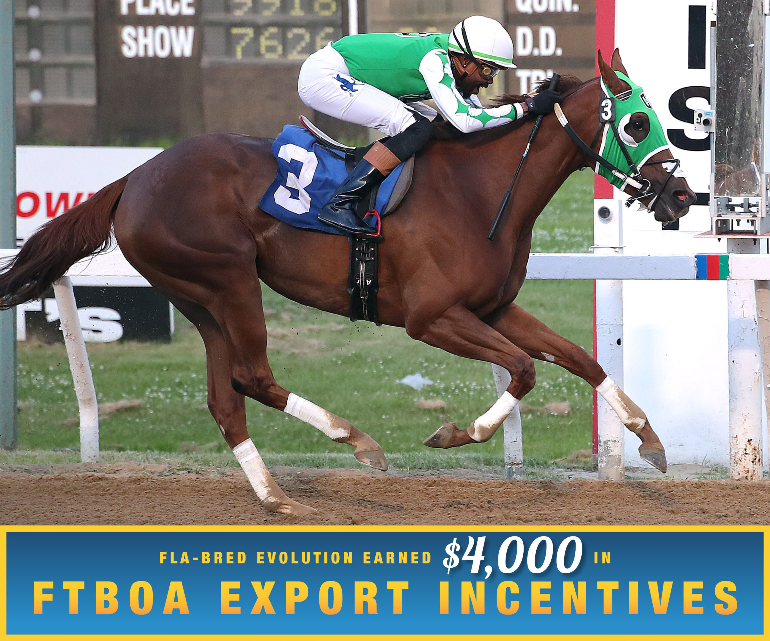 Florida-bred Thoroughbred Evolution and jockey Antonio Whitehall rocket across the finish line at Assiniboia Downs, galloping ahead of the pack to win the 2026 Jack Hardy Stakes. (Photo: ©Jason Halstead/JJH Photos) Beneath the photo, a gradient light blue to dark blue banner, edged in an orange to yellow frame, is featured. The banner reads, “Fla-bred Evolution Earned $4,000 in FTBOA Export Incentives.”