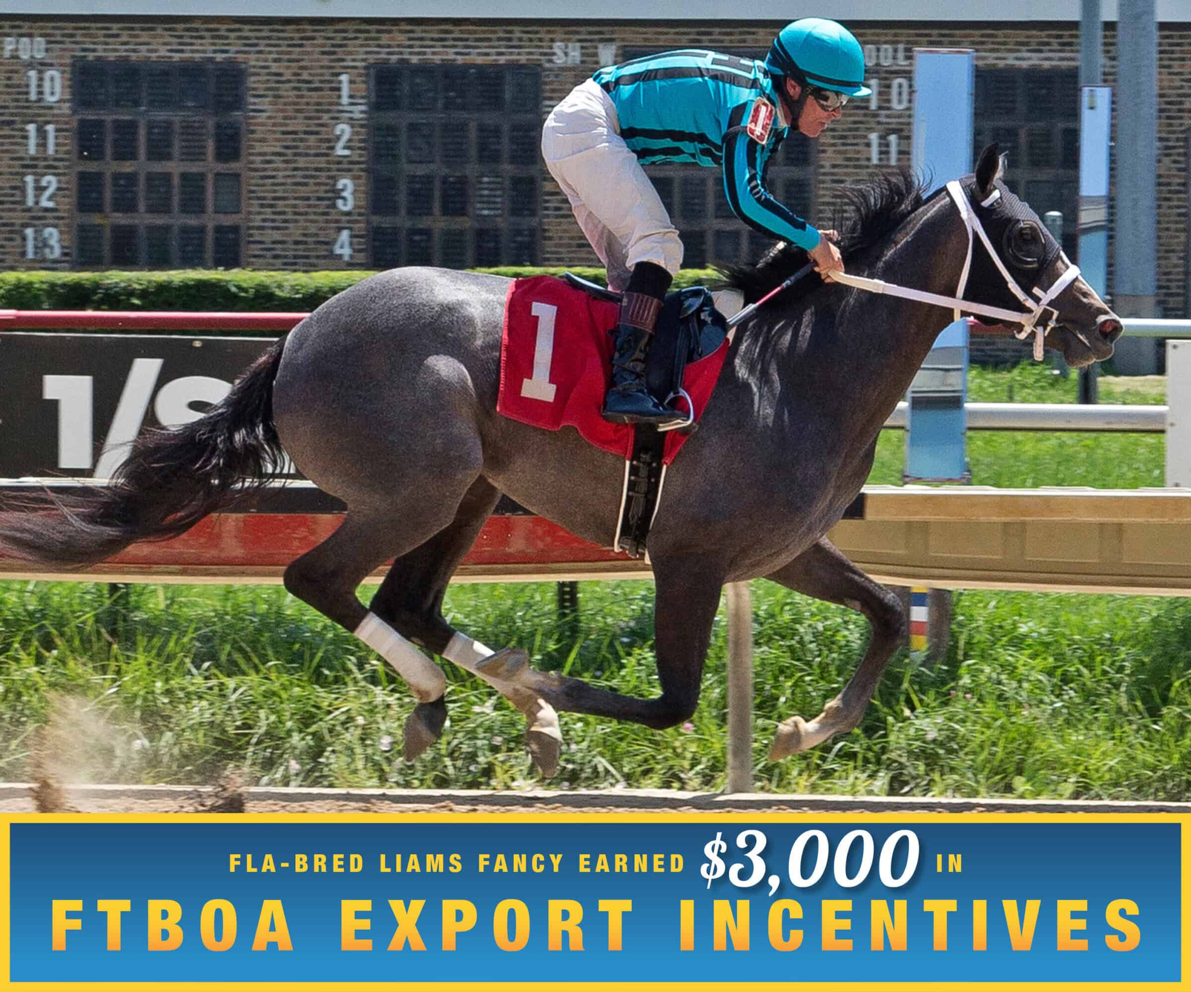 Florida-bred Liams Fancy and jockey E. T. Baird gallop to the wire at Hawthorne Racetrack, scoring a Maiden Special Weight on July 12, 2026. (Photo: ©Four Footed Fotos) Beneath the photo, a gradient light blue to dark blue banner, edged in an orange to yellow frame, is featured. The banner reads, “Fla-bred Liams Fancy Earned $4,000 in FTBOA Export Incentives.”