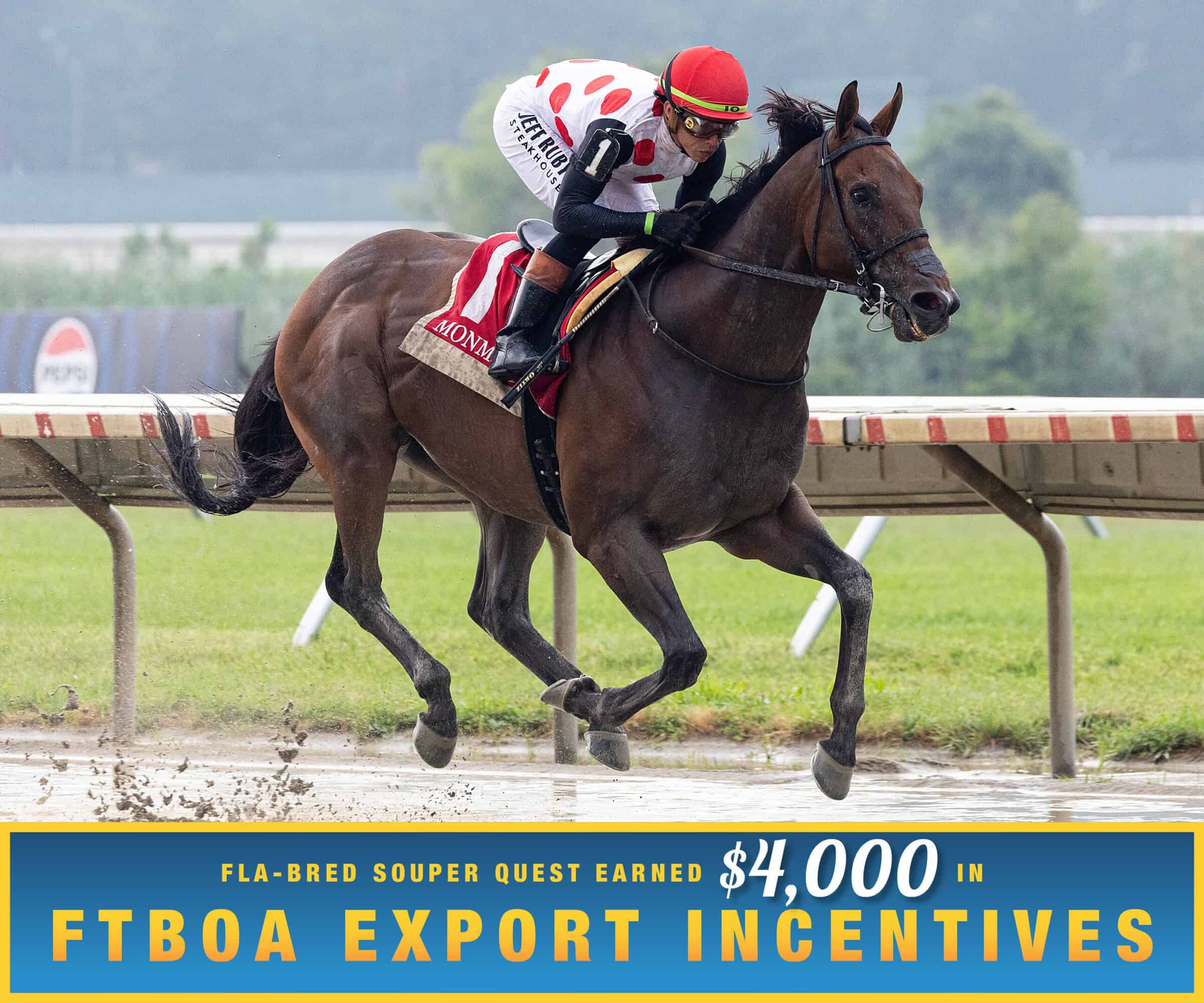 Florida-bred Thoroughbred Souper Quest and jockey Irad Ortiz, Jr gallop over a sloppy track at Monmouth Park to win the 2026 Wolf Hill Stakes. (Photo: ©Taylor Ejdys/EQUI-PHOTO) Beneath the photo, a gradient light blue to dark blue banner, edged in an orange to yellow frame, is featured. The banner reads, “Fla-bred Souper Quest Earned $4,000 in FTBOA Export Incentives.”