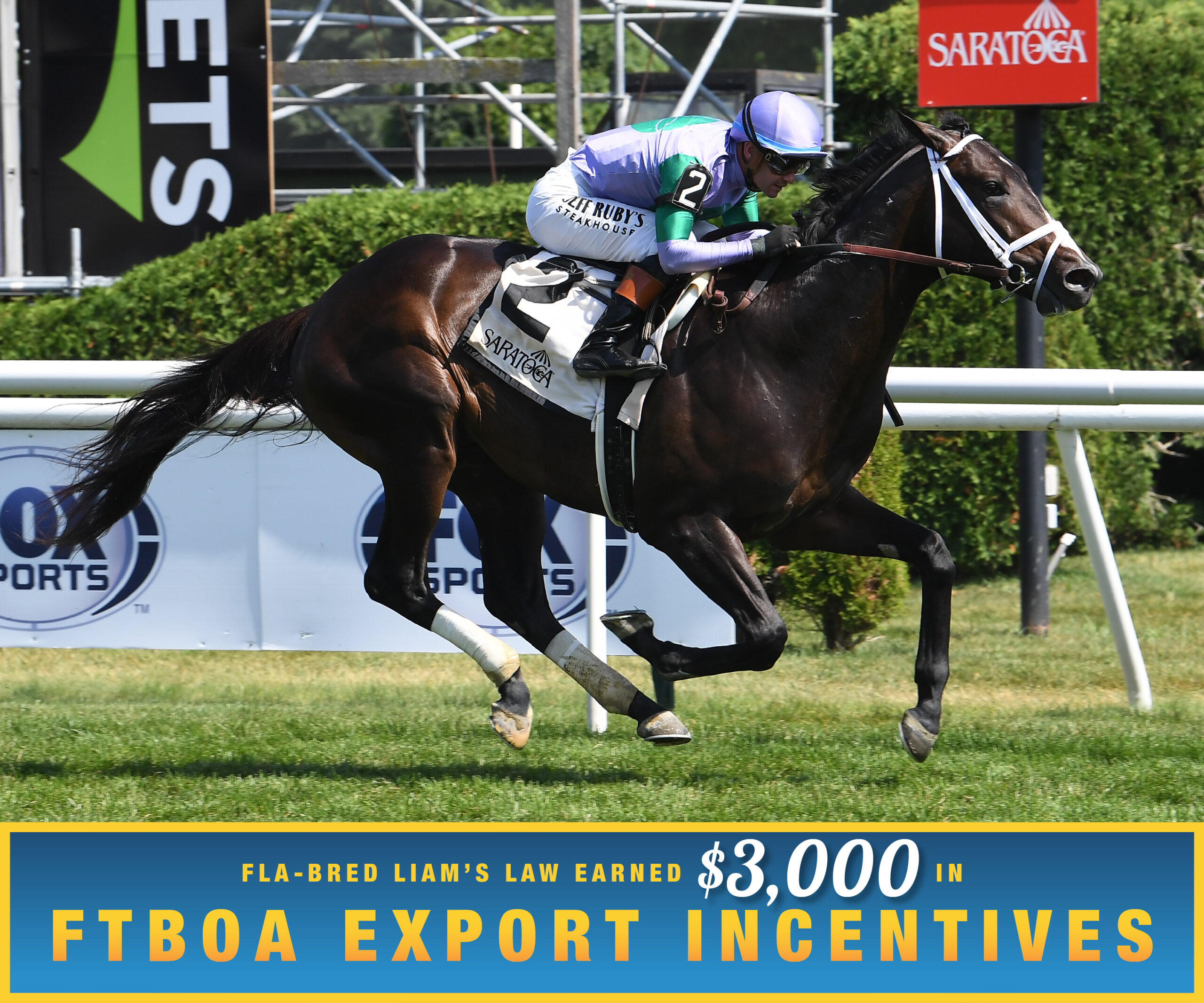 Florida-bred Thoroughbred Liam’s Law and jockey Flavien Prat gallop to the wire at Saratoga to win a Maiden Special Weight on July 12, 2026. Beneath the photo, a gradient light blue to dark blue banner, edged in an orange to yellow frame, is featured. The banner reads, “Fla-bred Liam’s Law Earned $3,000 in FTBOA Export Incentives.”