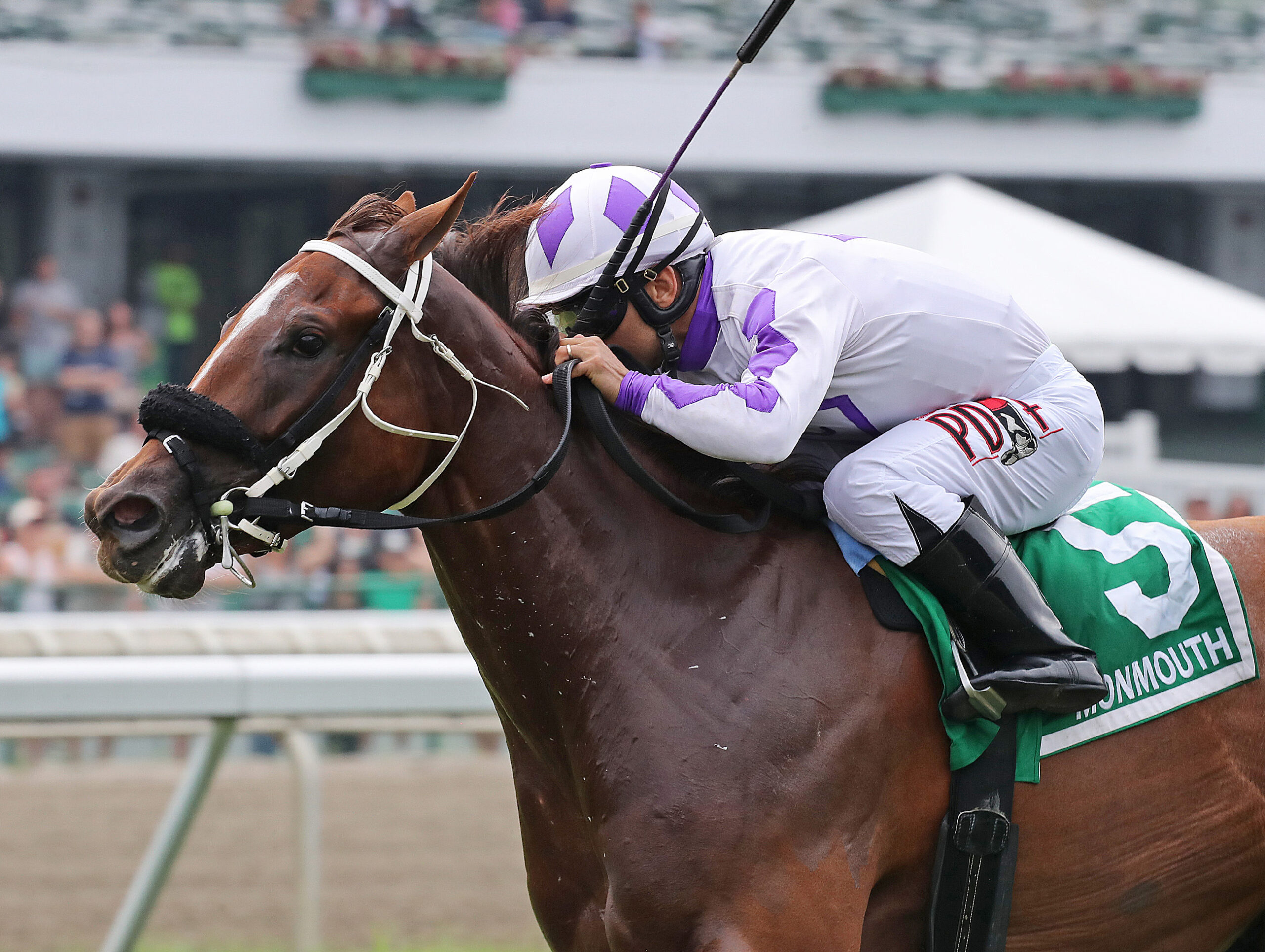Closely cropped headshot of Florida-bred Gerrards Cross and jockey Sonny Leon rocketing to the wire at Monmouth Park to score the 2025 Colleen Stakes. (Photo: ©Ryan Denver/EQUI-PHOTO)