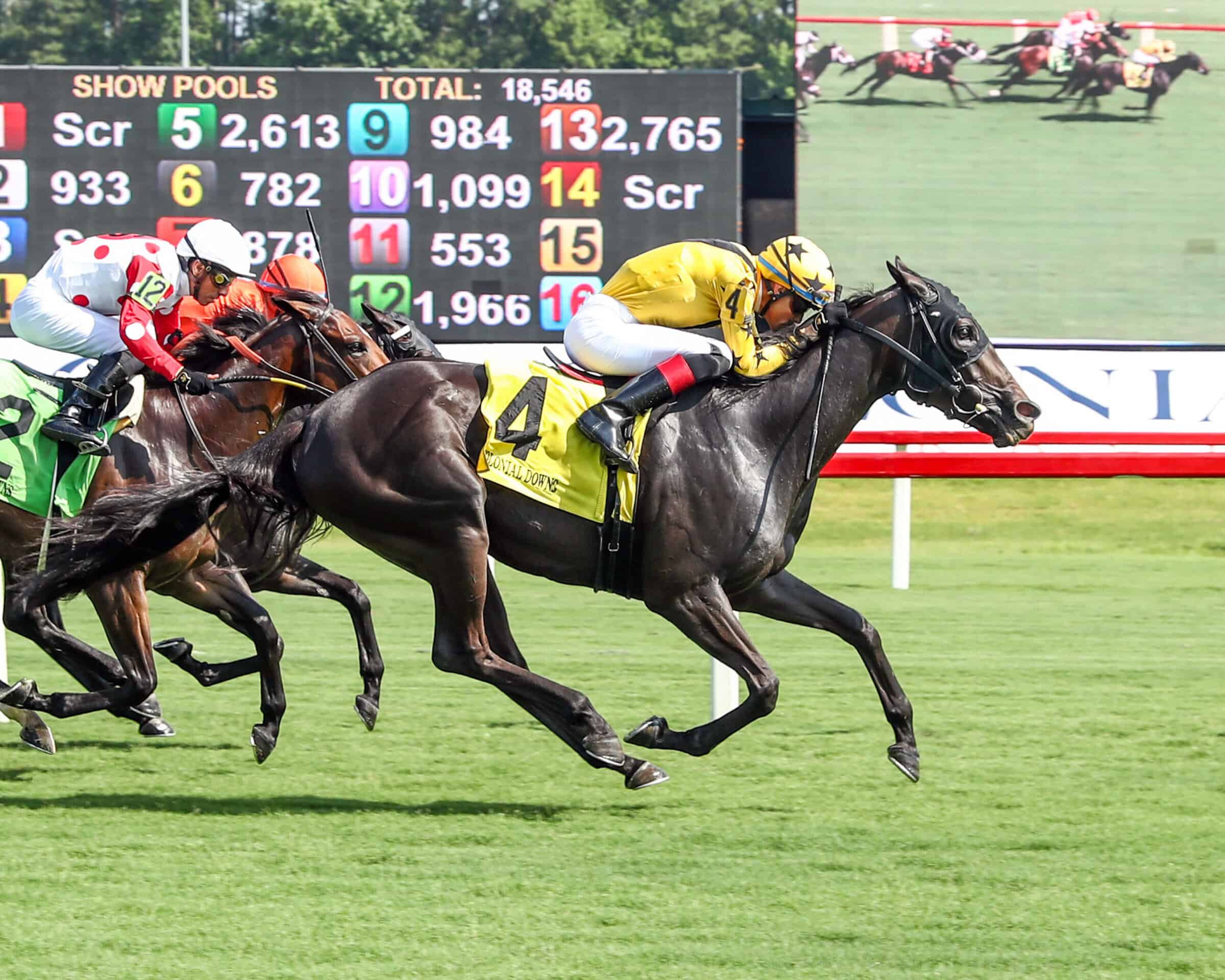 Florida-bred Thoroughbred Grade A and jockey Johan Rosado cross the finish line first in a Colonial Downs allowance race on the turf.