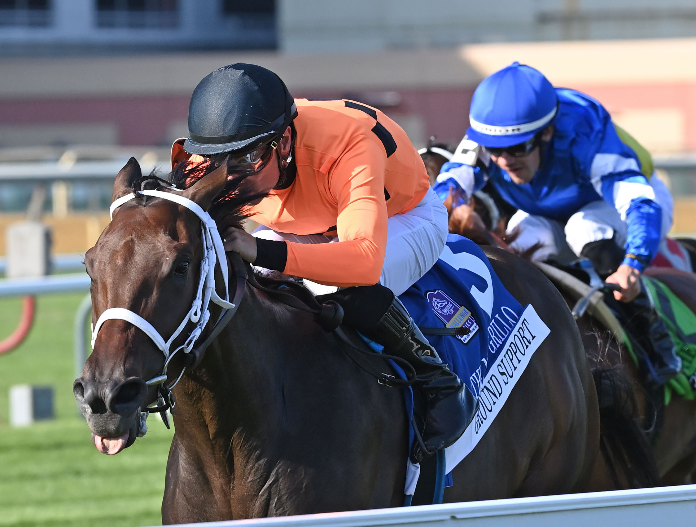 Closely cropped headshot of Florida-bred Thoroughbred Ground Support and jockey Adam Beschizza racing along the rail ahead of competition at Aqueduct Race Track. The duo held the lead to win the 2025 Miss Grillo (Grade 2). (Photo: ©Chelsea Durand)