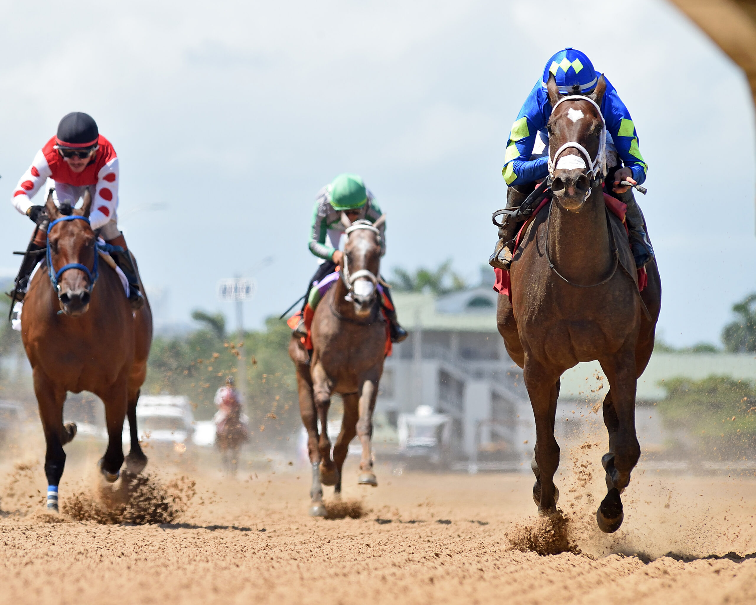 Florida-bred Thoroughbred Hot Rod Honey gallops towards the camera with jockey Leonel Reyes in the irons. Behind them, fellow Florida-bred Colombina and Elegante Miz attempt to catch them. Hot Rod Honey and Reyes crossed the wire first to win the 2026 Sharp Susan at Gulfstream Park. (Photo: ©Ryan Thompson)