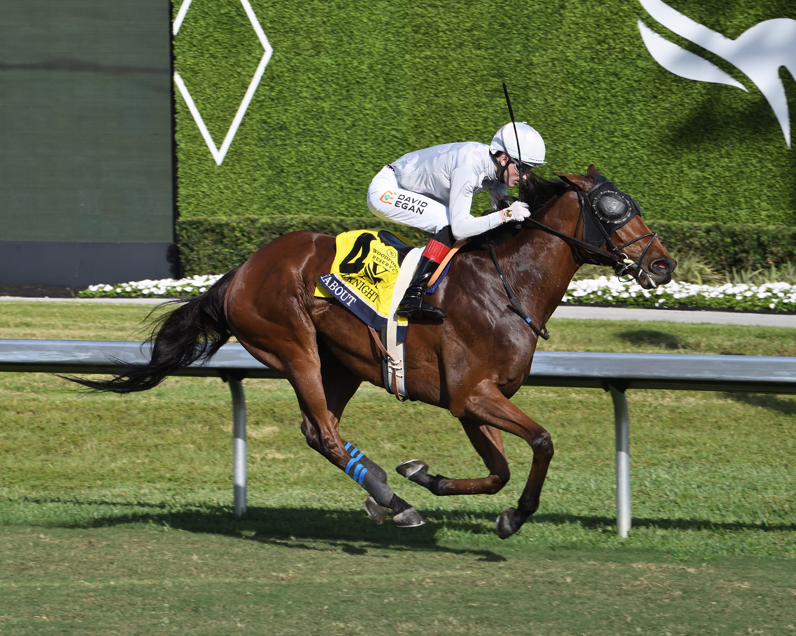 Florida-bred Layabout and jockey David Egan gallop to the wire at Gulfstream Park to win the 2026 William L. McKnight. (Photo: ©Lauren King)