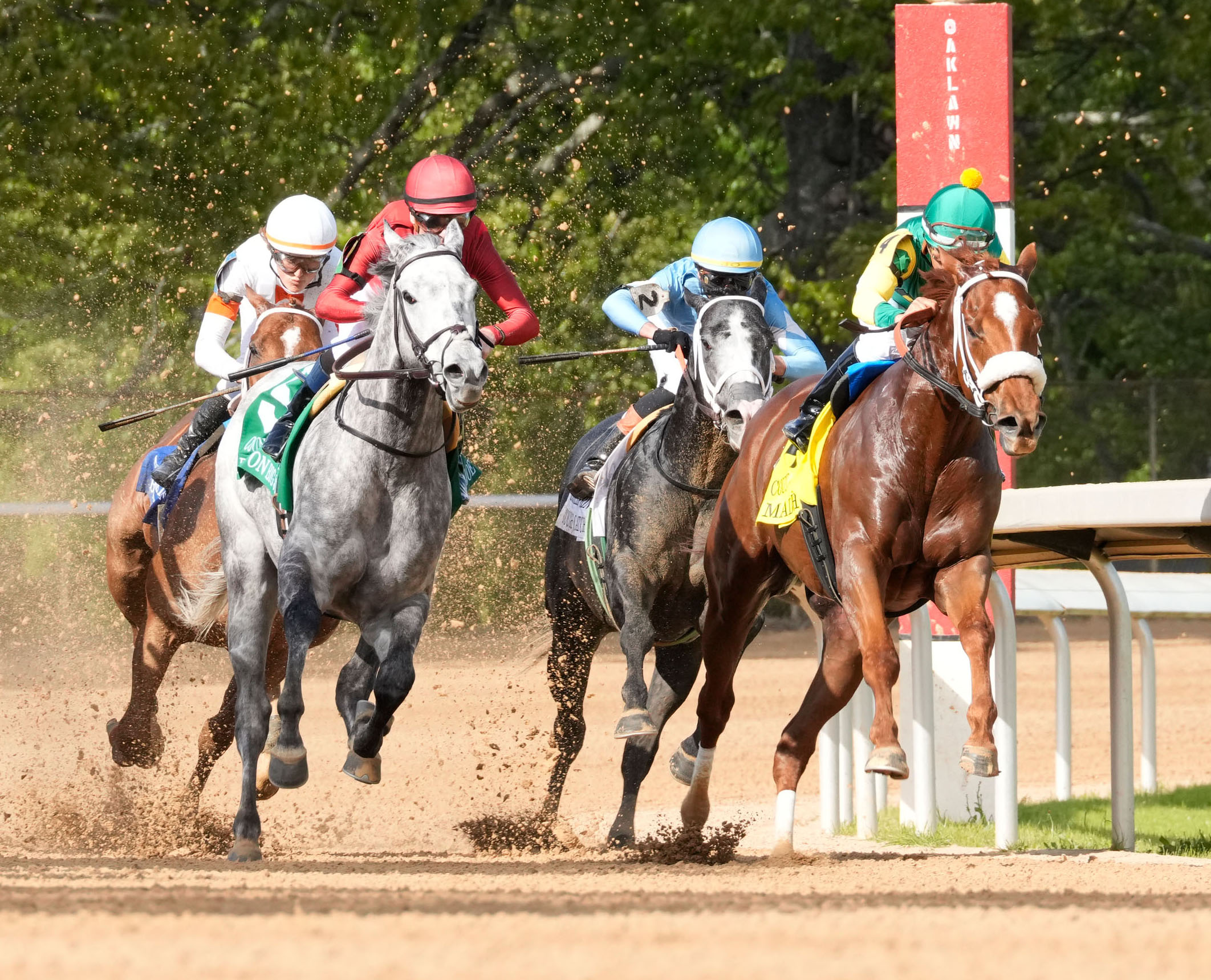 Florida-bred Thoroughbred Mad House rockets forward at the head of the pack with jockey Paco Lopez in the saddle. Fellow Florida-bred Roll On Big Joe and jockey Julien Leparoux chase them from the outside, followed by the rest of the pack. Mad House and Lopez held the lead to win the 2026 Grade 3 Count Fleet Handicap at Oaklawn Park. (Photo: ©Shelby Layne Ridgway/Coady Media)