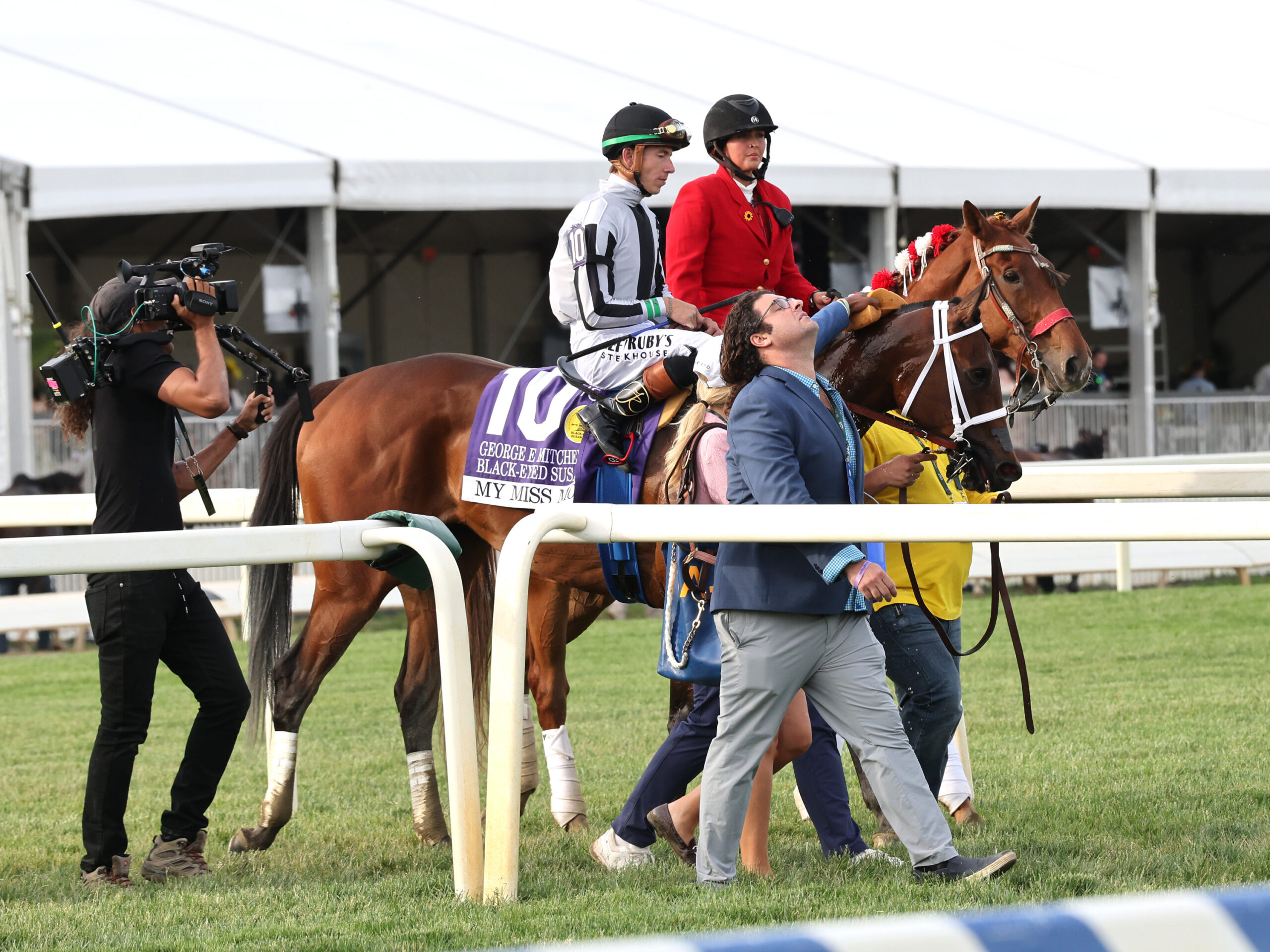 Florida-bred Thoroughbred My Miss Mo is ponied off the track post winning the 2026 Grade 2 George E. Mitchell Black Eyed Susan at Monmouth Park. Jockey Tyler Gaffalione is in her saddle, while trailer Saffie Joseph Jr. walks alongside the duo, followed by a camera person. (Photo: ©Bill Denver/EQUI-PHOTO)