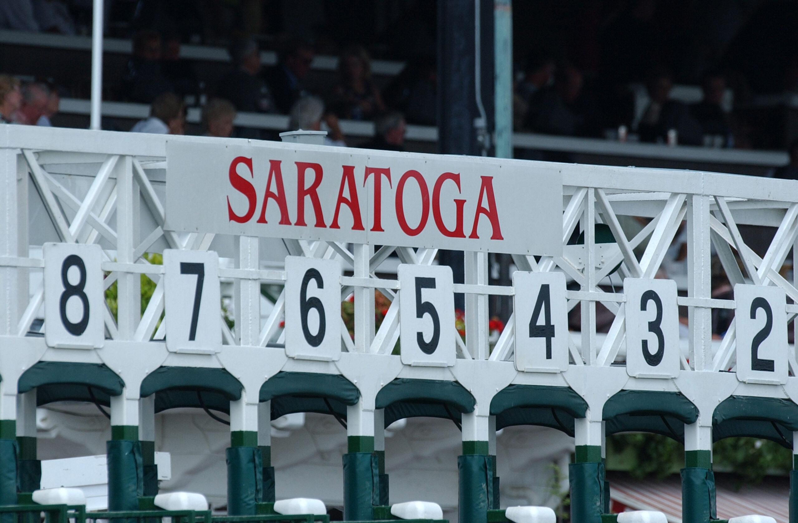 Close-up photograph of the starting gates at Saratoga Race Track, specifically focused on the gate numbers and the large “Saratoga” sign over the gates. (Photo: ©NYRA Coglianese)