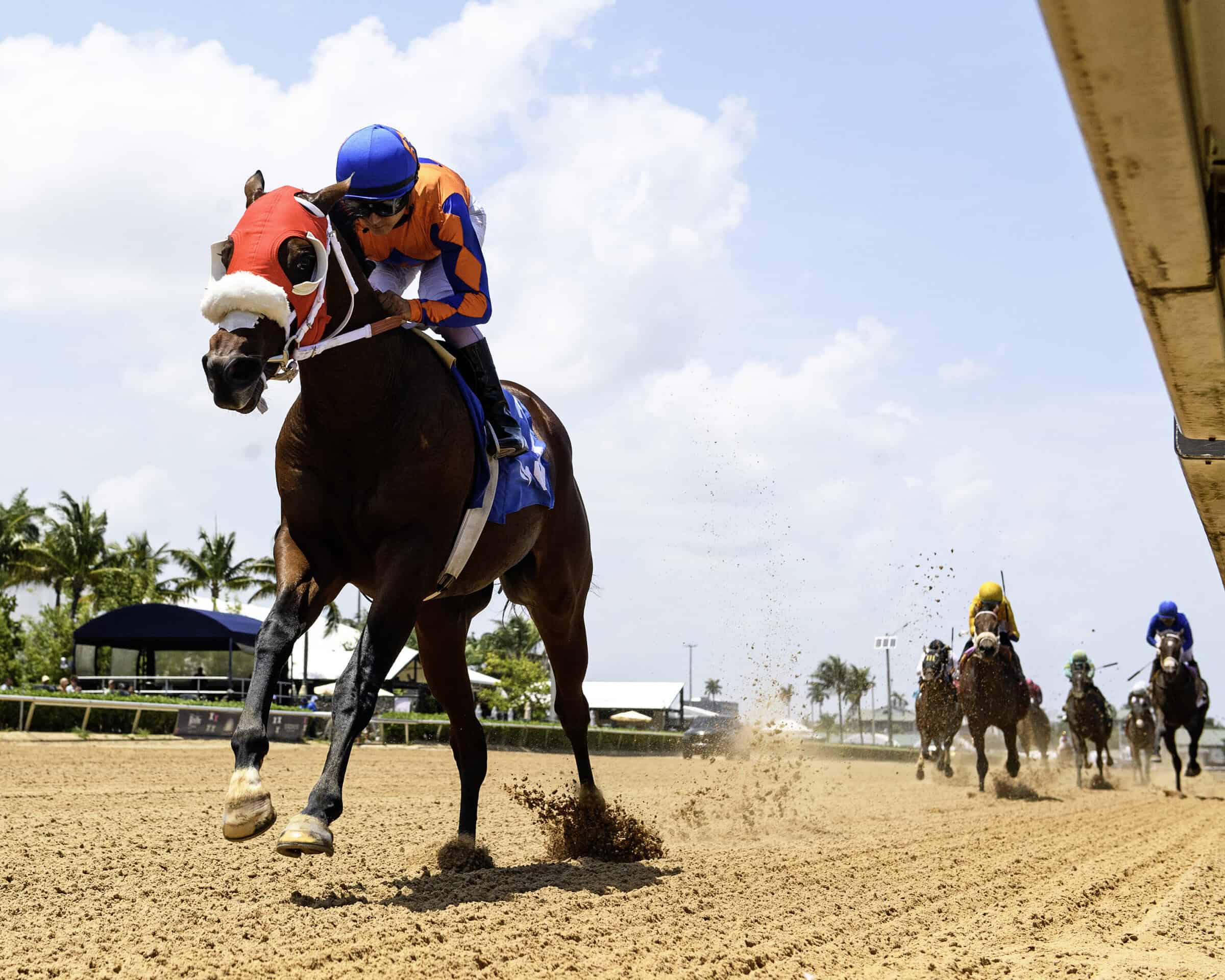 Florida-bred Thoroughbred Sum of Success and jockey Jonathan Ocasio gallop at the head of the field, well ahead of competition to win a maiden special weight at Gulfstream Park on July 20, 2026. (Photo: ©Ryan Thompson)
