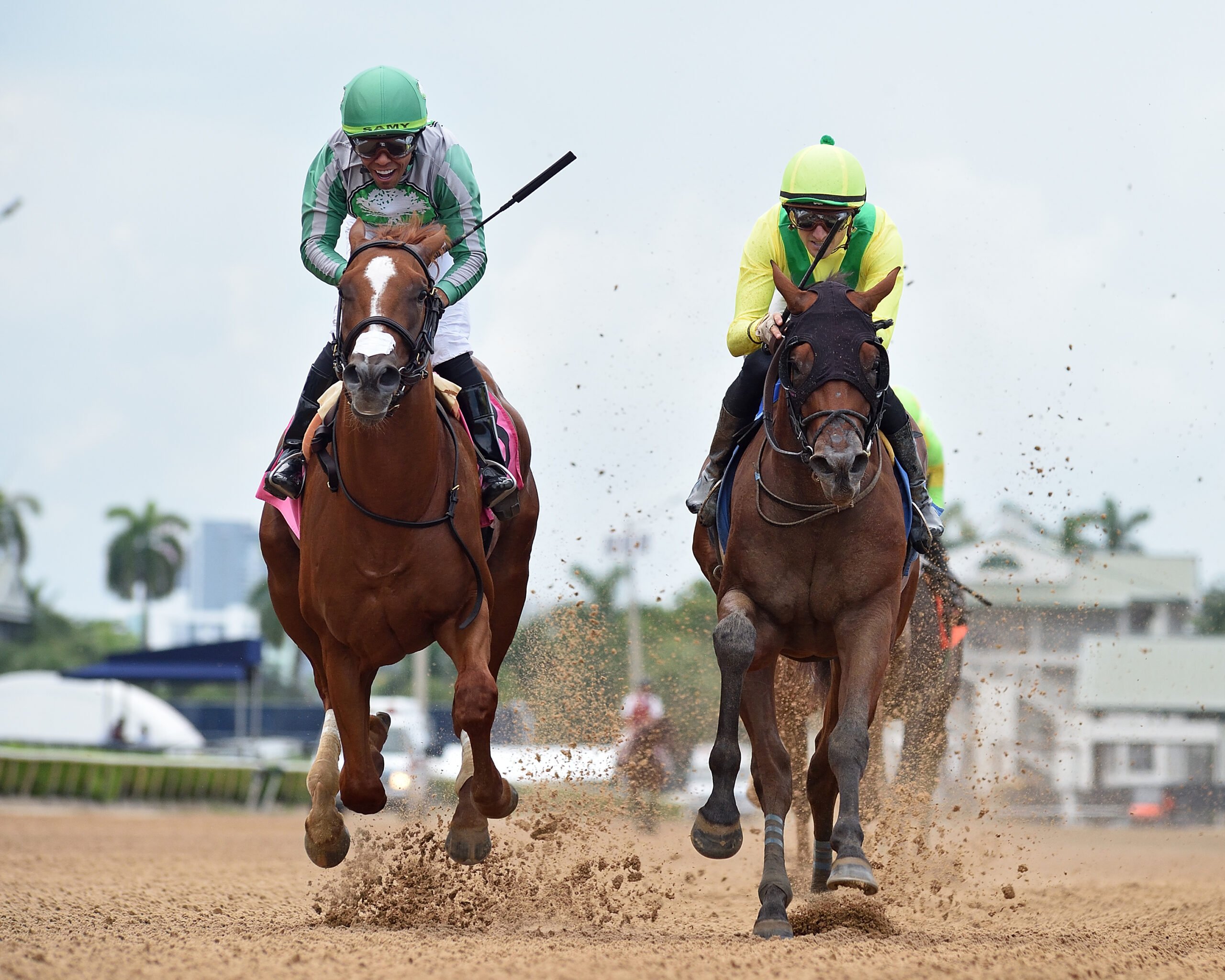 Barreling towards the camera, Florida-bred Thoroughbred Watson and jockey Samy Camacho gallop on the outside, battling with fellow Florida-bred Gaelic Legacy running on the inside rail with jockey Keith Asmussen in the saddle. Watson pushed back to cross the wire first, with Camacho grinning widely as they win the 2026 Proud Man at Gulfstream Park. (Photo: ©Ryan Thompson)