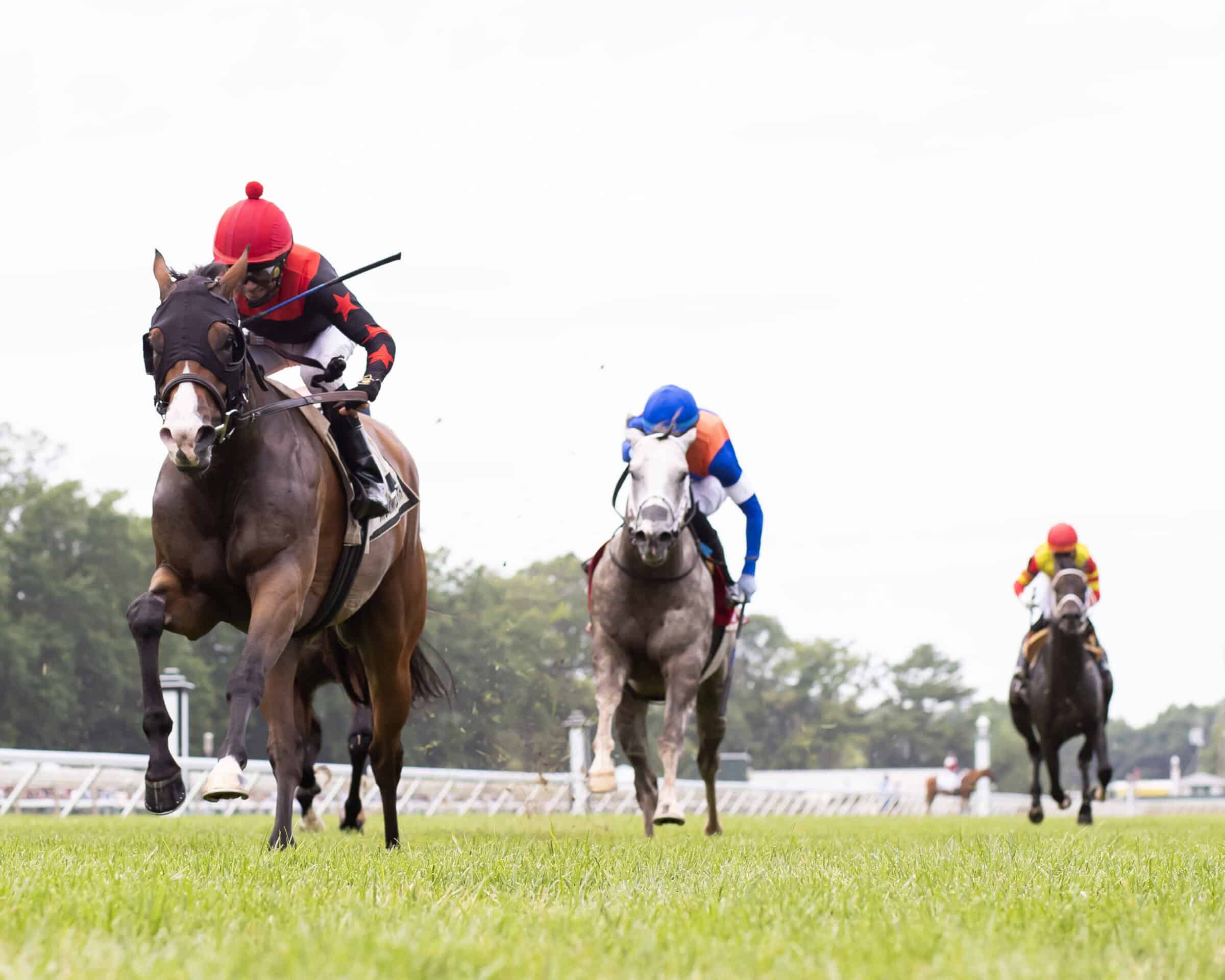 Florida-bred Thoroughbred and jockey jockey Jose Ferrer gallop straight at the camera, leading the pack at Monmouth Park. The duo held the lead to win the 2026 My Frenchman Stakes. (Photo: ©Bill Denver/EQUI-PHOTO)