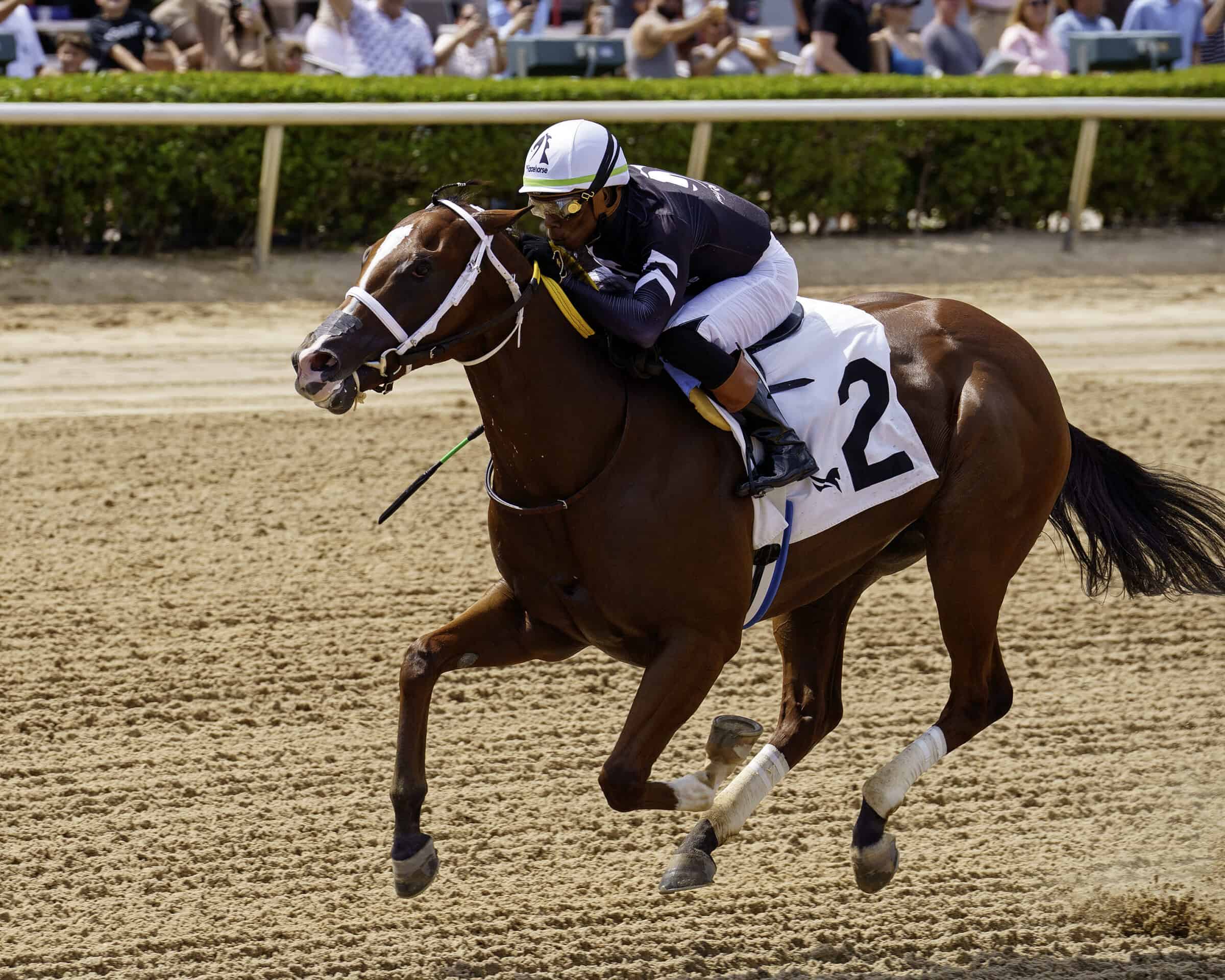 Conviction and jockey Rasheed Hughes cross the wire alone at Gulfstream Park.