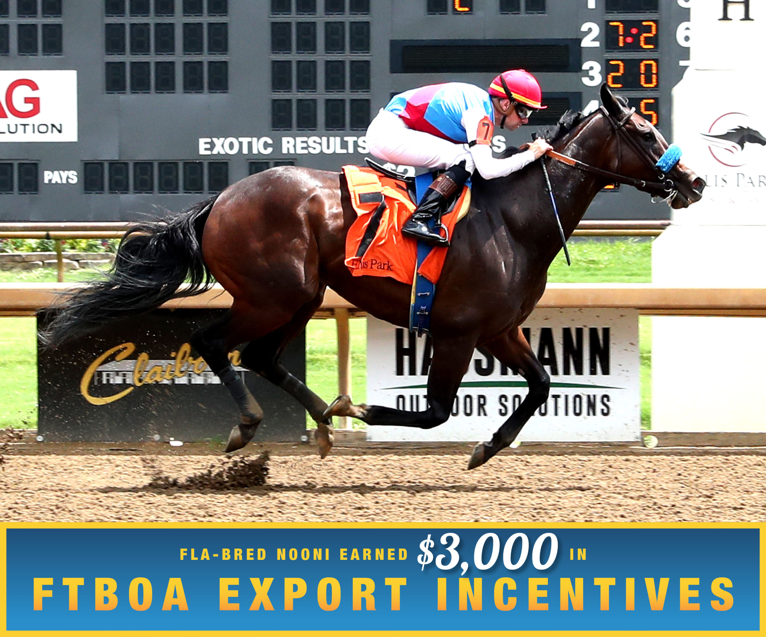 Florida-bred Thoroughbred Nooni and jockey Florent Geroux gallop to the wire at Ellis Park, holding the lead to win against upper tier $62,500 optional claiming fillies and mares on August 2, 2026. (Photo: ©Coady Media) Beneath the photo, a gradient light blue to dark blue banner, edged in an orange to yellow frame, is featured. The banner reads, “Fla-bred Nooni Earned $3,000 in FTBOA Export Incentives.”