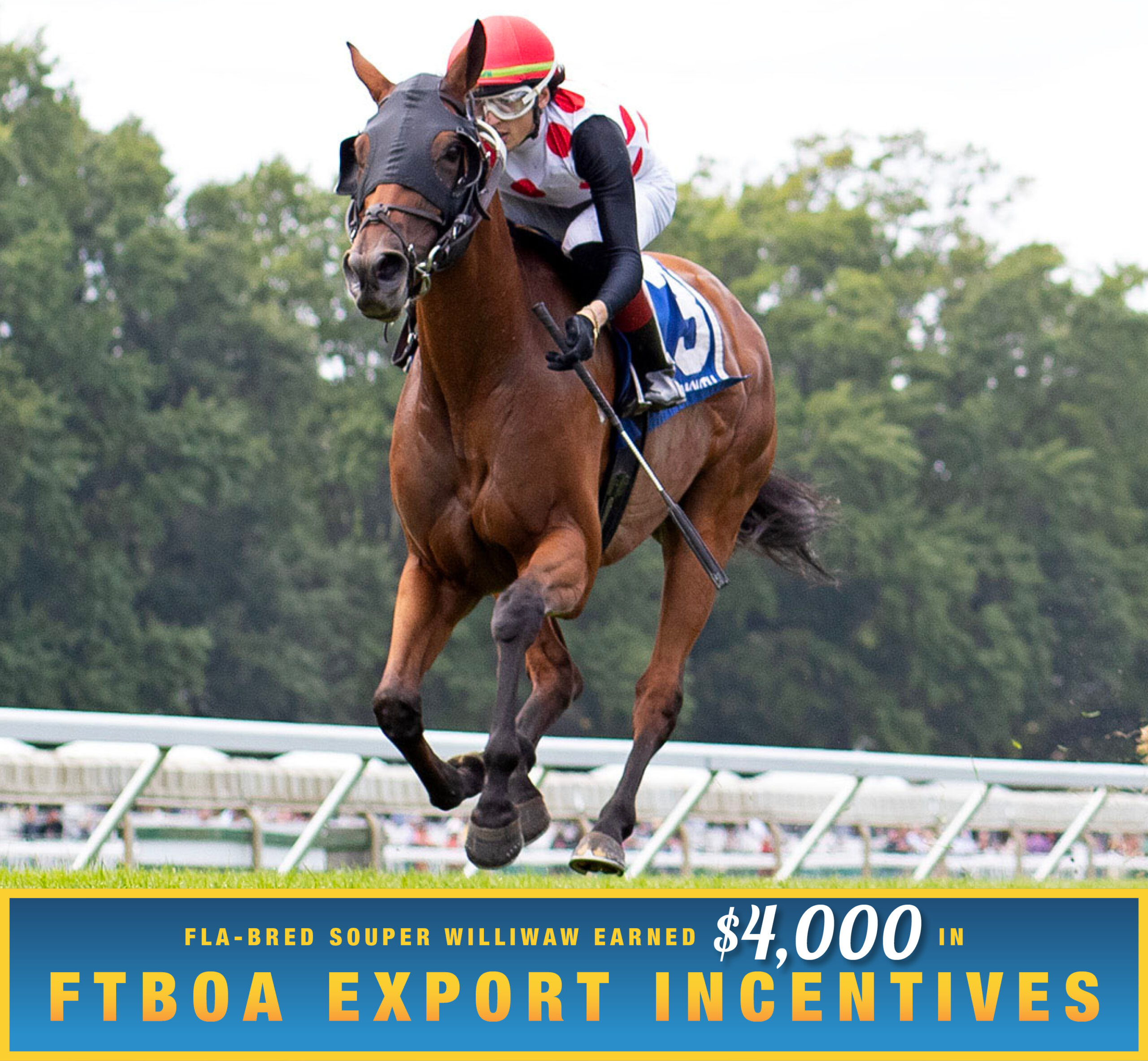 Florida-bred Thoroughbred Souper Williwaw and jockey Charlie Marquez rocket towards the camera, galloping ahead of competition to win the 2026 Violet Stakes on the Monmouth Park turf. (Photo: ©Ryan Denver/EQUI-PHOTO) Beneath the photo, a gradient light blue to dark blue banner, edged in an orange to yellow frame, is featured. The banner reads, “Fla-bred Souper Williwaw Earned $4,000 in FTBOA Export Incentives.”