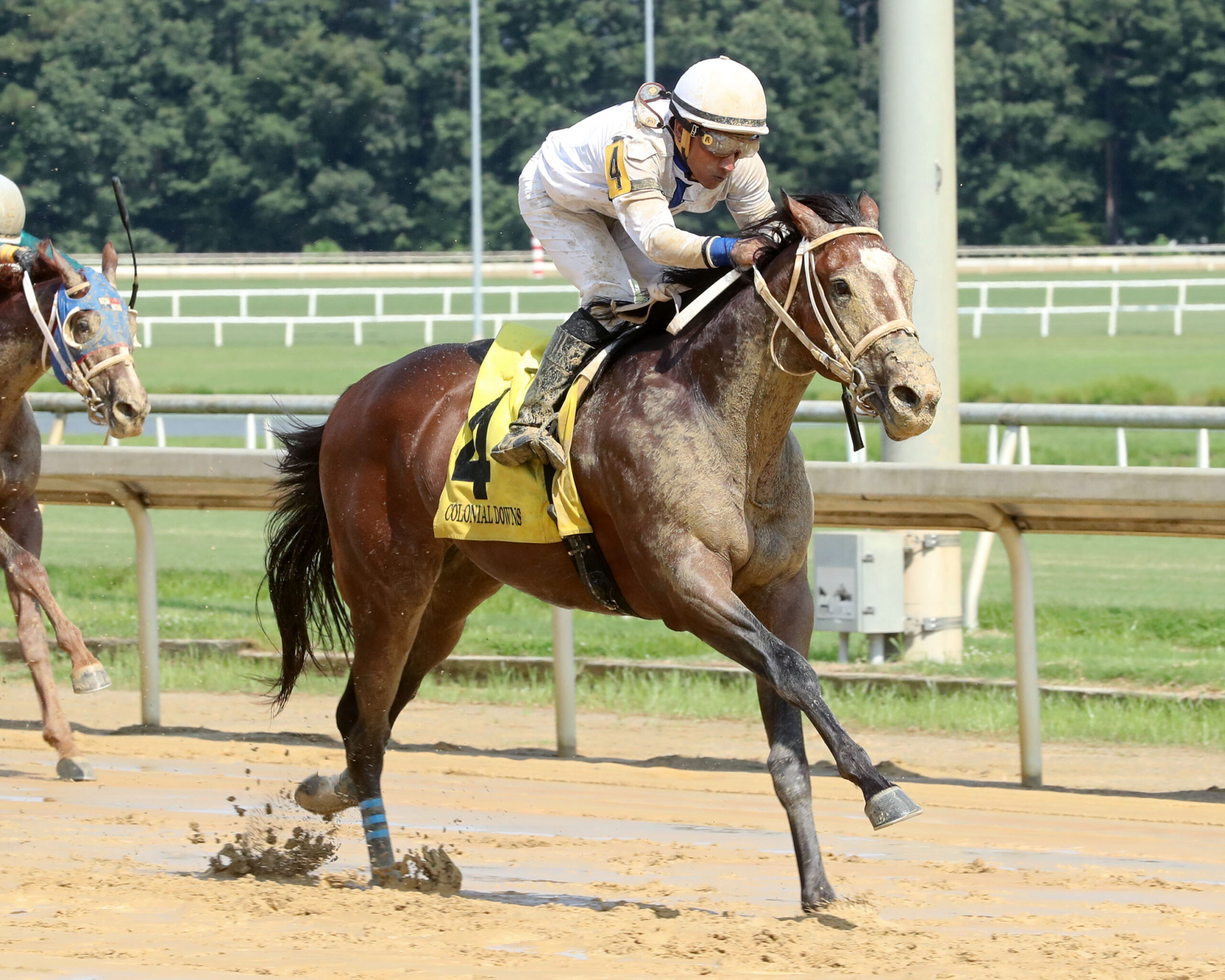 Florida-bred Thoroughbred I Feel Lucky and jockey Rajiv Maragh rocket past their competition, grabbing the lead to win the 2026 Hickory Tree Stakes at Colonial Downs. (Photo: ©Renee Torbit/Coady Media)