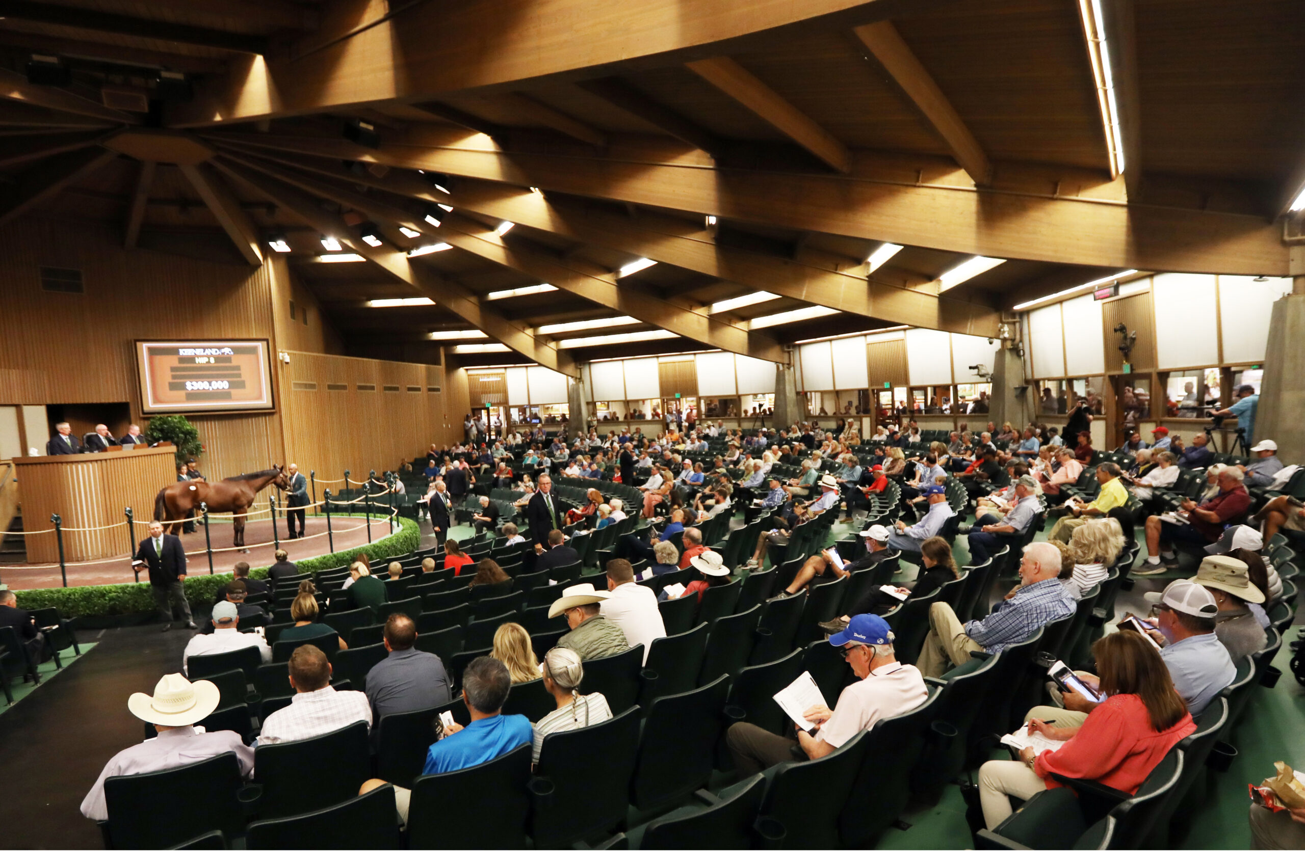 Aerial view inside the Keeneland auction ring. Rows of bidders face the ring, where a bay Thoroughbred stands. The sign above their head reads, “$300,000.” (Photo: ©Keeneland Photo)