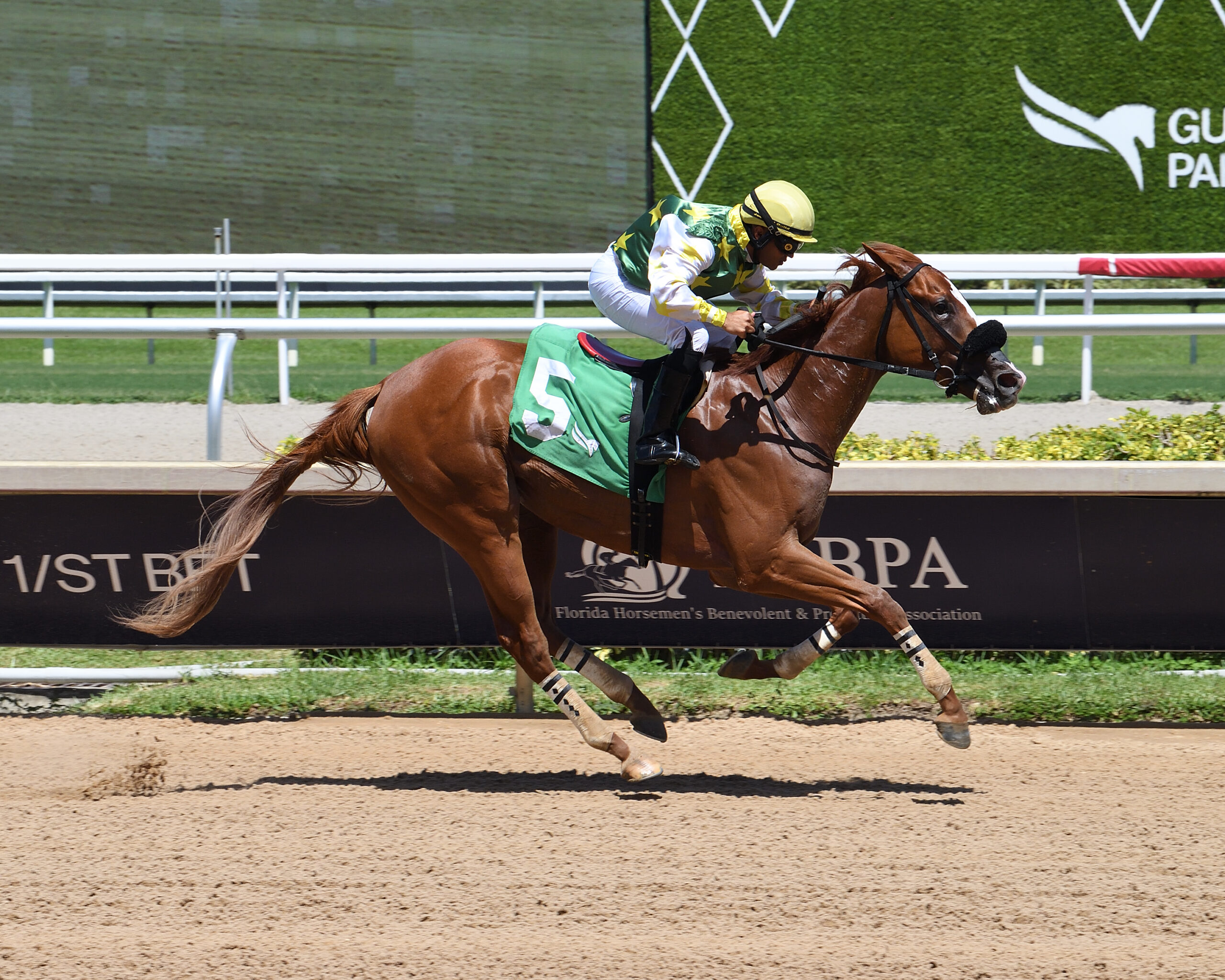 Florida-bred Thoroughbred Liberty Rings, with jockey Miguel Vasquez in the saddle, gallops to the wire at Gulfstream Park. The duo closed on their competition to win the 2026 Scandalous Act. (Photo: ©Ryan Thompson)