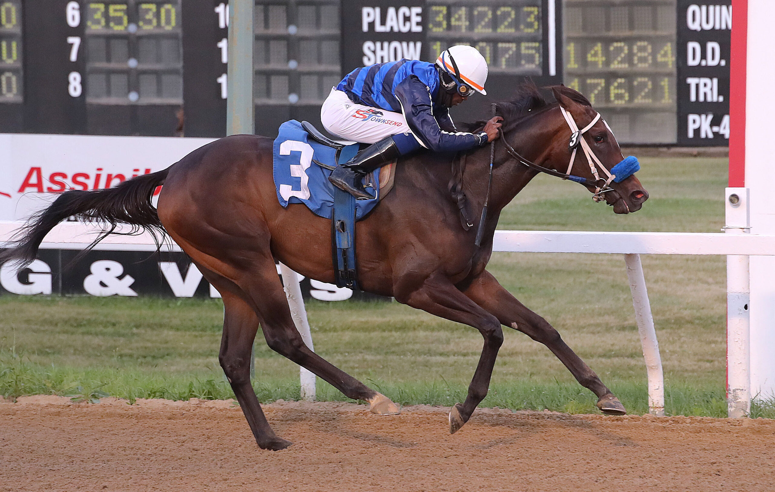Florida-bred Thoroughbred My Kid’s Said No and jockey Shavon Townsend gallop clear ahead of their competition, crossing the wire at Assiniboia Downs to win by a staggering 11 ¾ lengths in the 2026 Debutante Stakes. (Photo: ©Jason Halstead/JJH Photo)