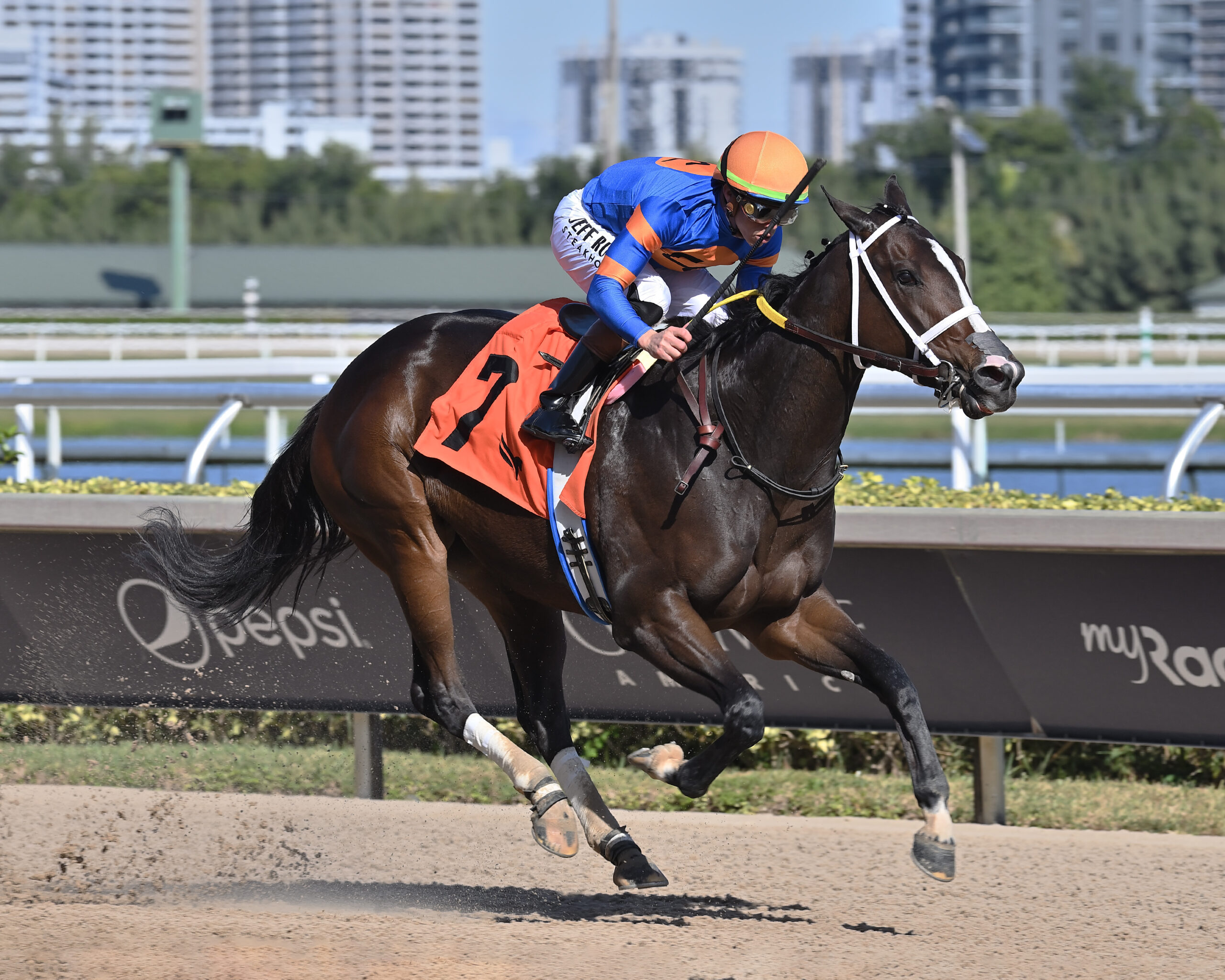 Florida-bred Thoroughbred Mystic Lake and jockey Irad Ortiz Jr. rocket to the wire at Gulfstream Park, snatching the lead to win the 2025 Grade 2 Inside Information. (Photo: ©Lauren King)