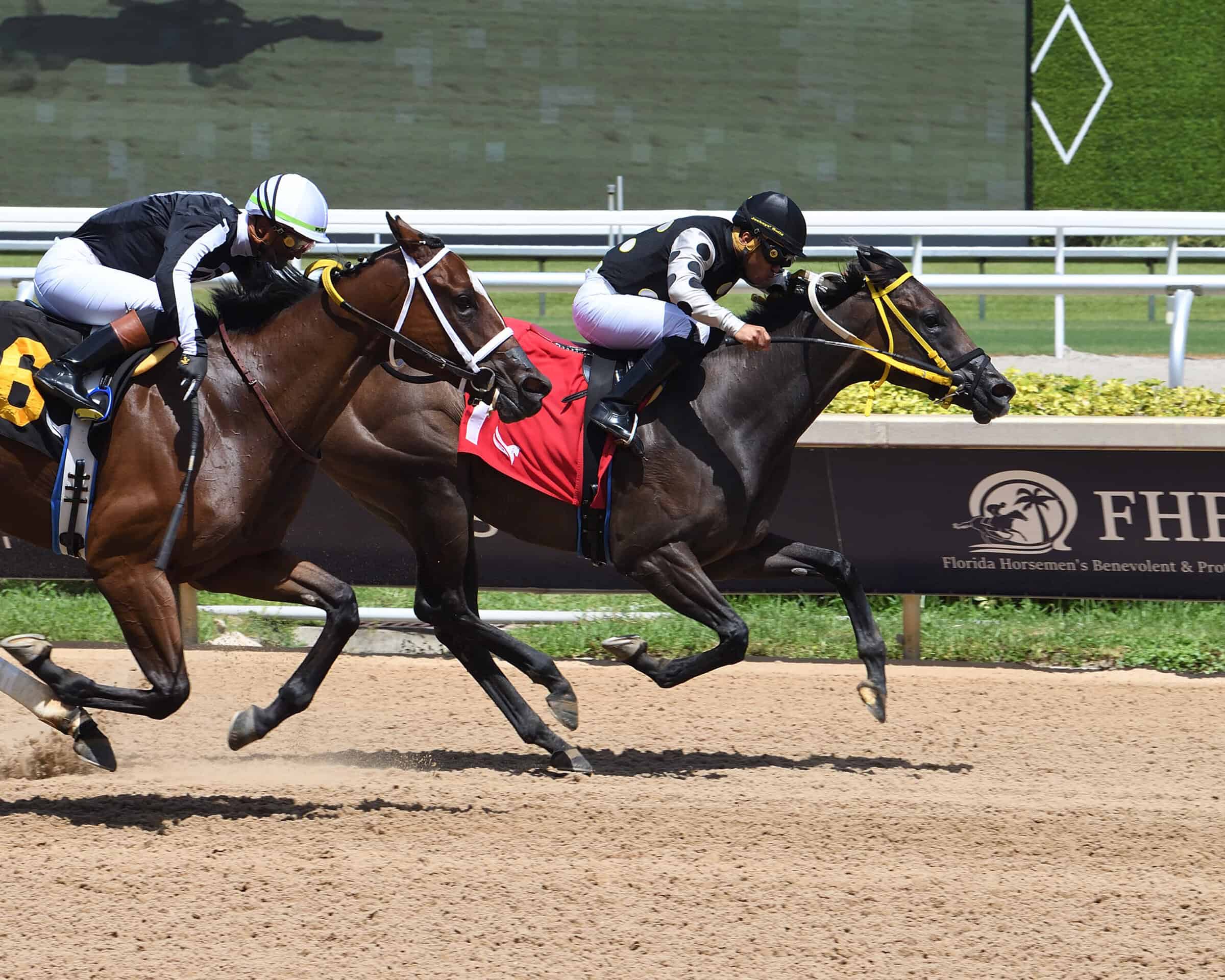 Rosie's Roadster and jockey Miguel Vasquez win a race at Gulfstream Park